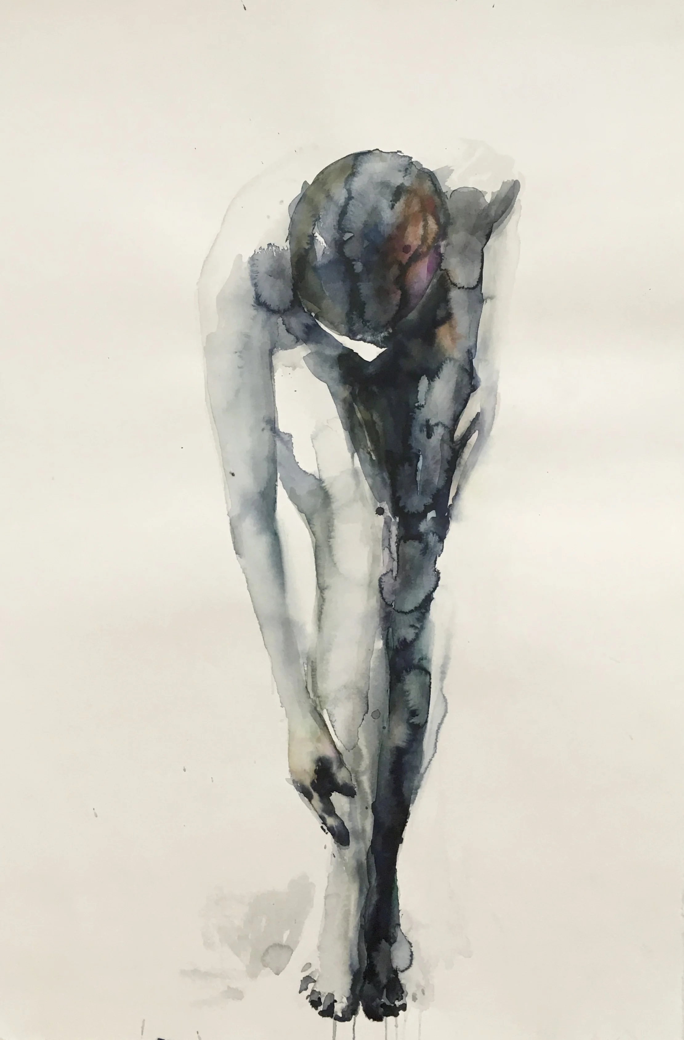  Watercolour on paper, 2018  25 x 38 inch  Commissioned work 