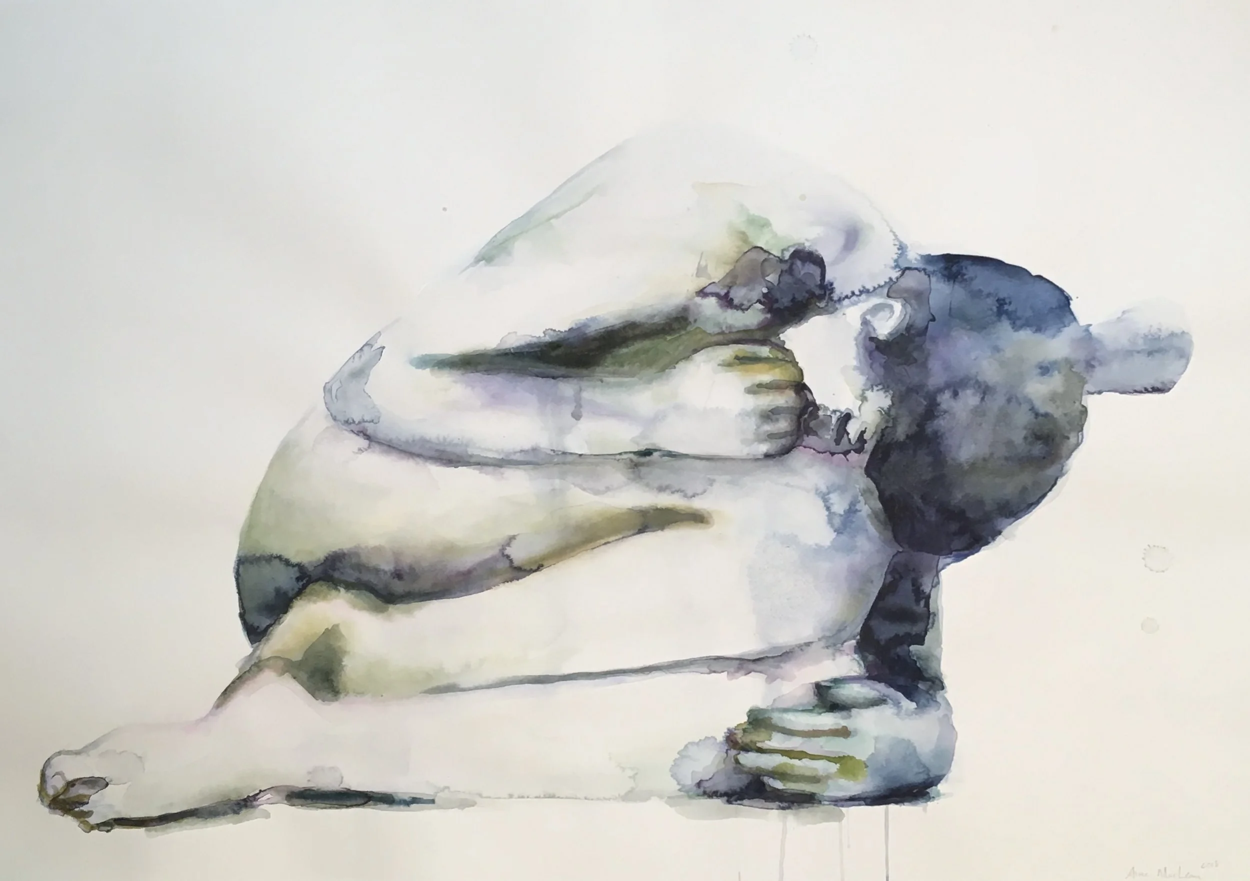  Watercolour on paper, 2018  25 x 38 inch 