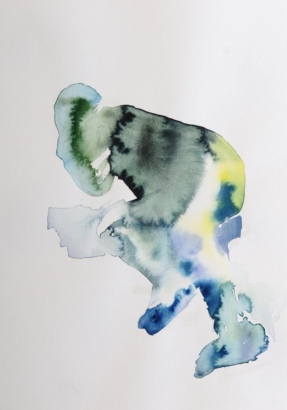  Watercolour on paper, 2016 11 × 15 inch 