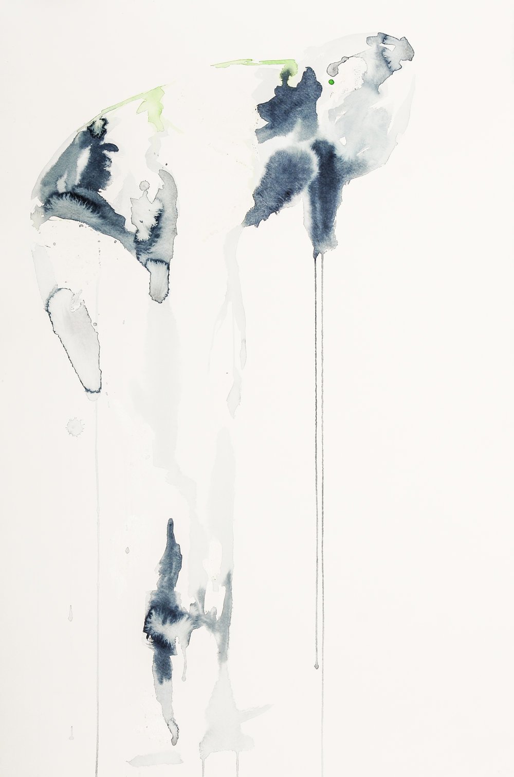  Watercolour on paper, 2016 25 x 38 inch 