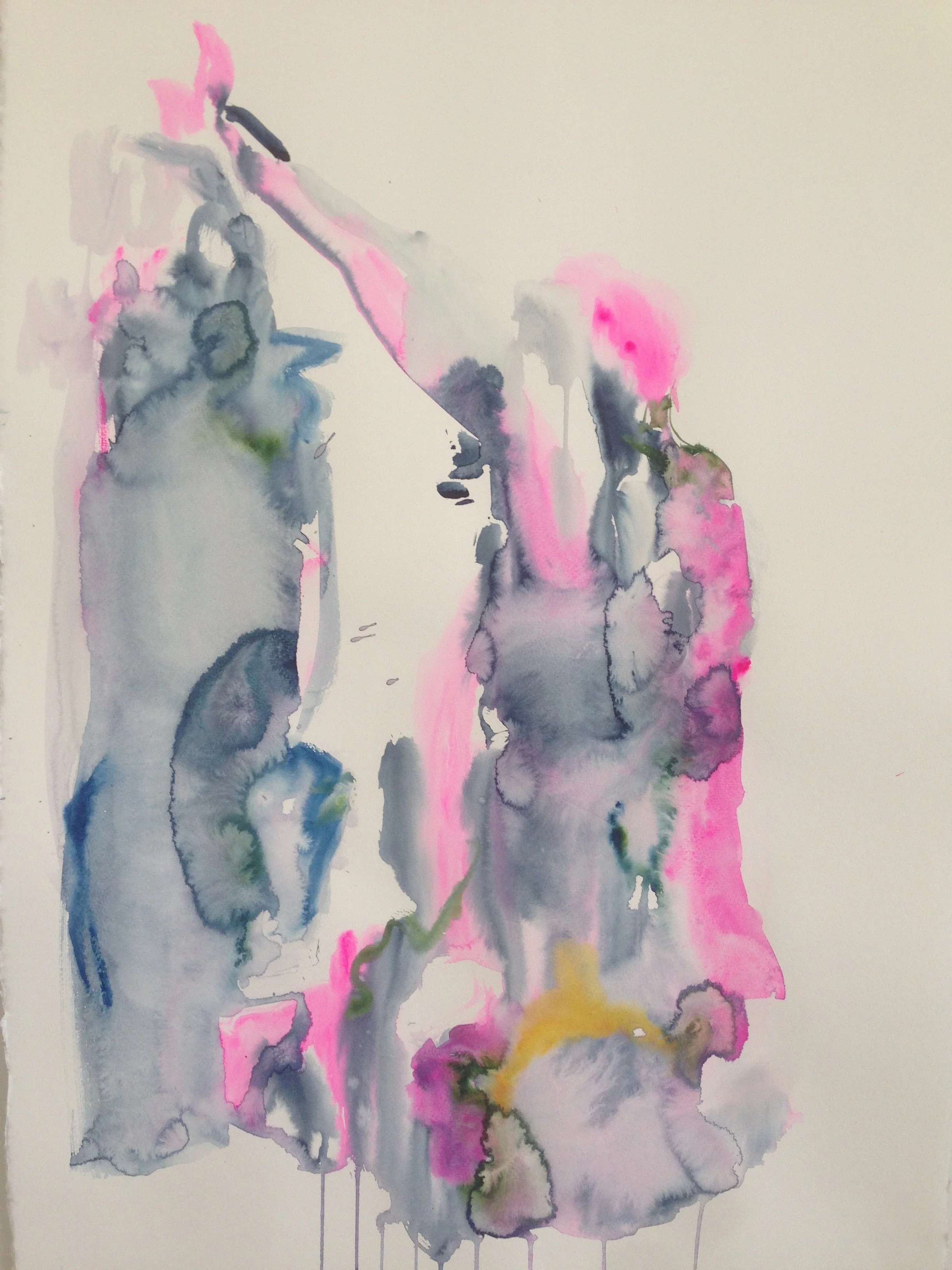  Watercolour on paper, 2016 25 x 38 inch 