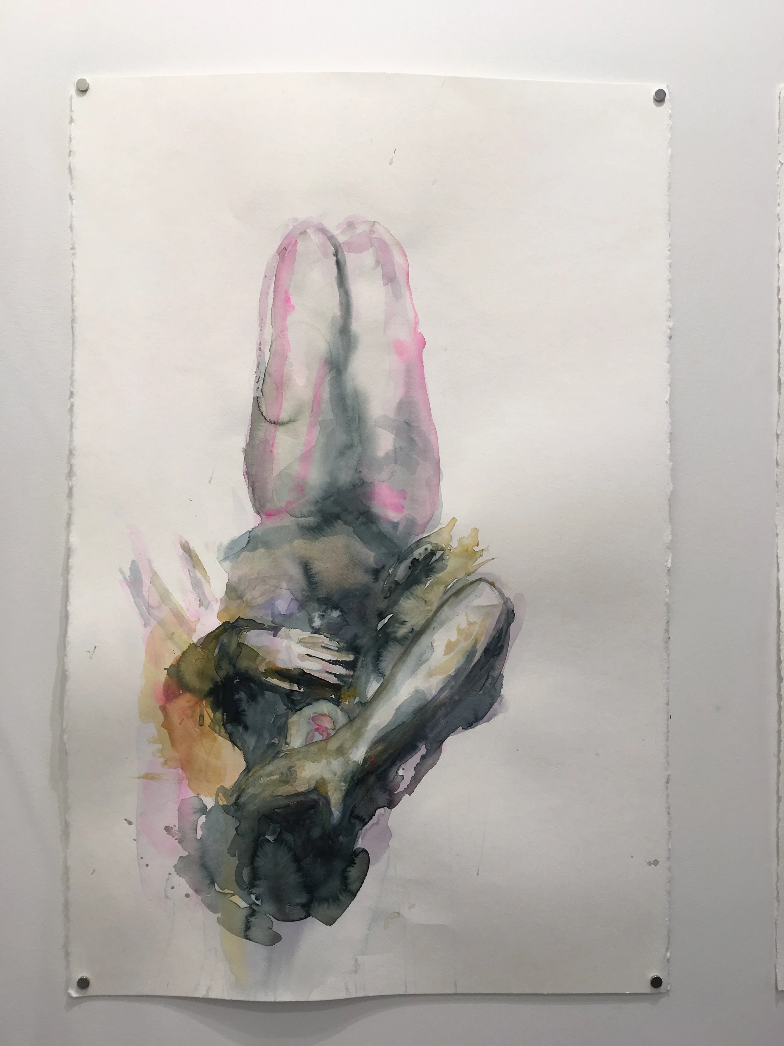  25” × 38” Watercolour on paper.  