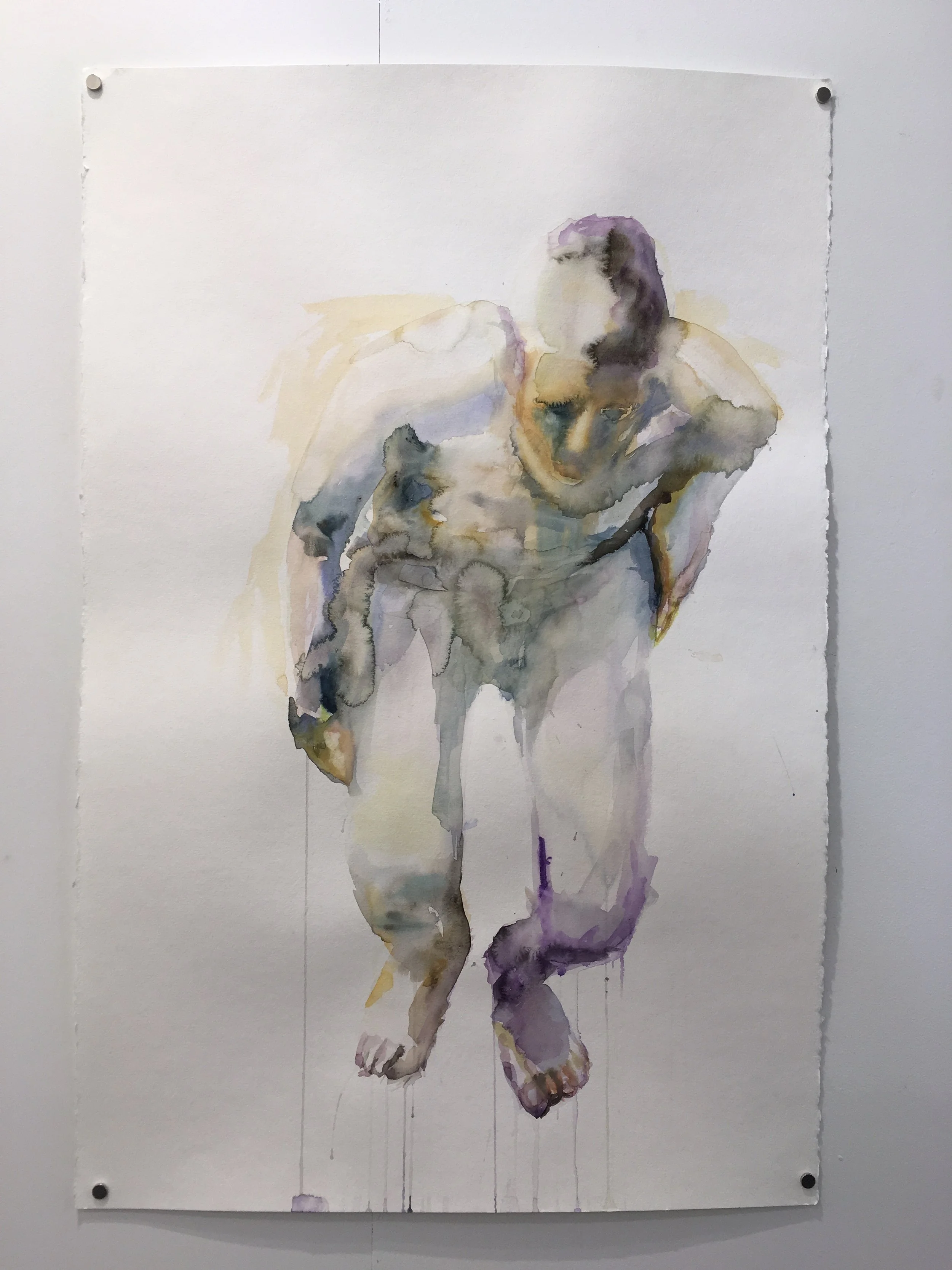  25” × 38” Watercolour on paper.  