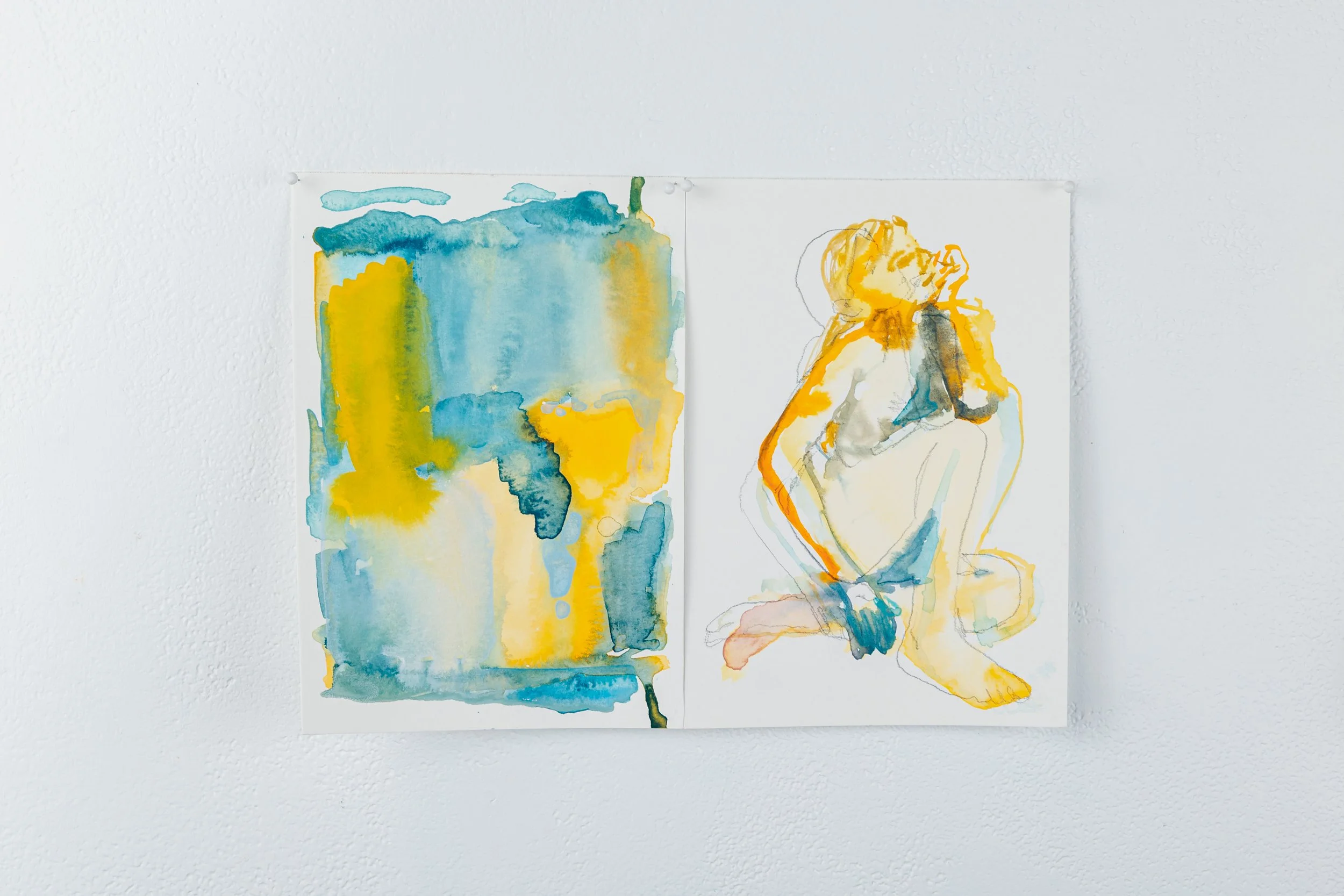 Chromatic Variations: Colour as subject (diptych) No. 1
