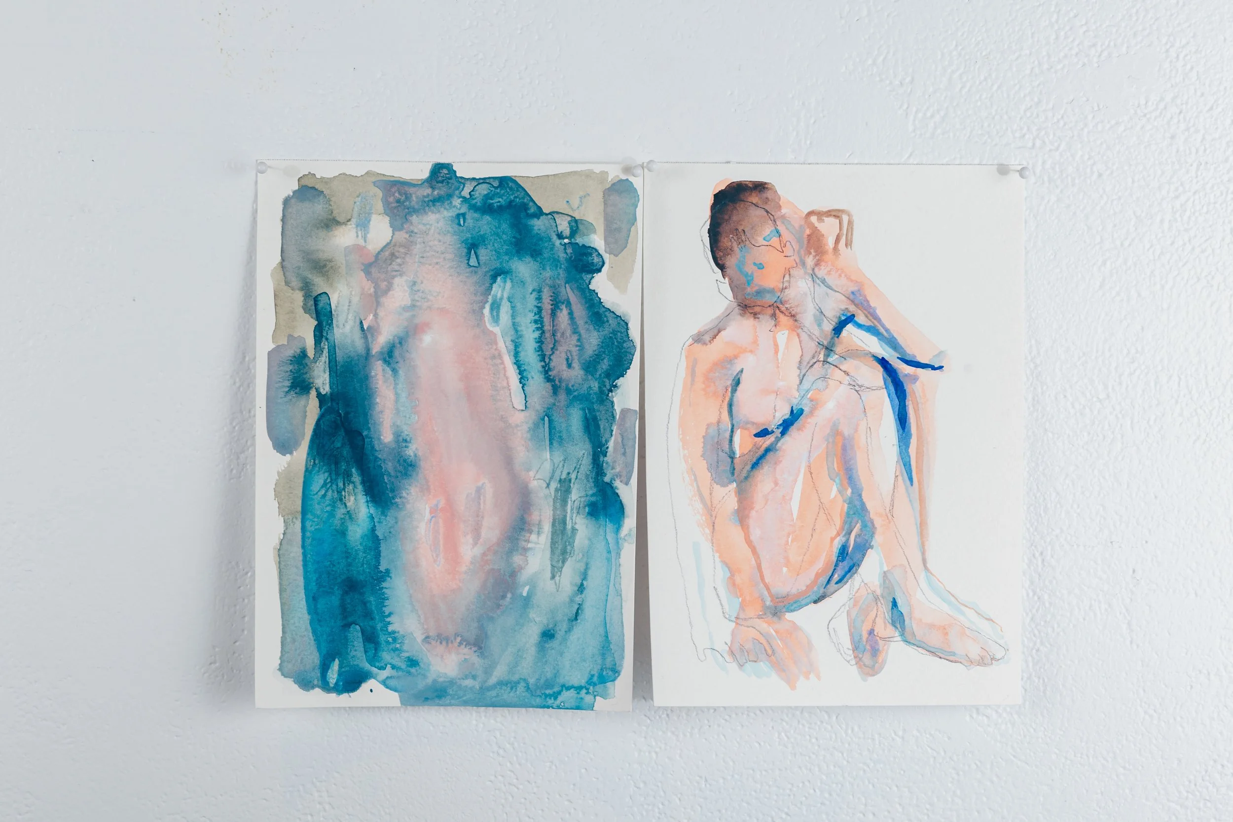 Chromatic Variations: Colour as Subject Diptych No.4
