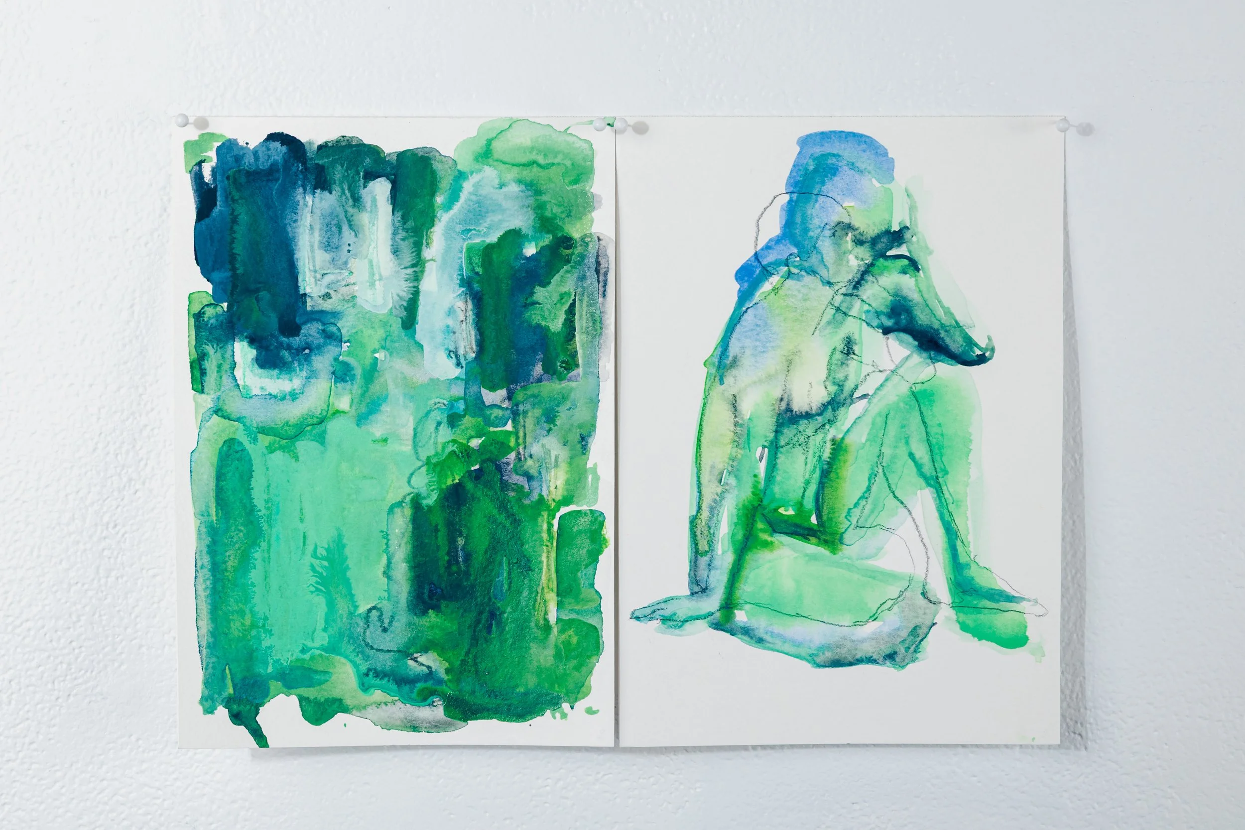 Chromatic Variations: Colour as Subject Diptych No.3