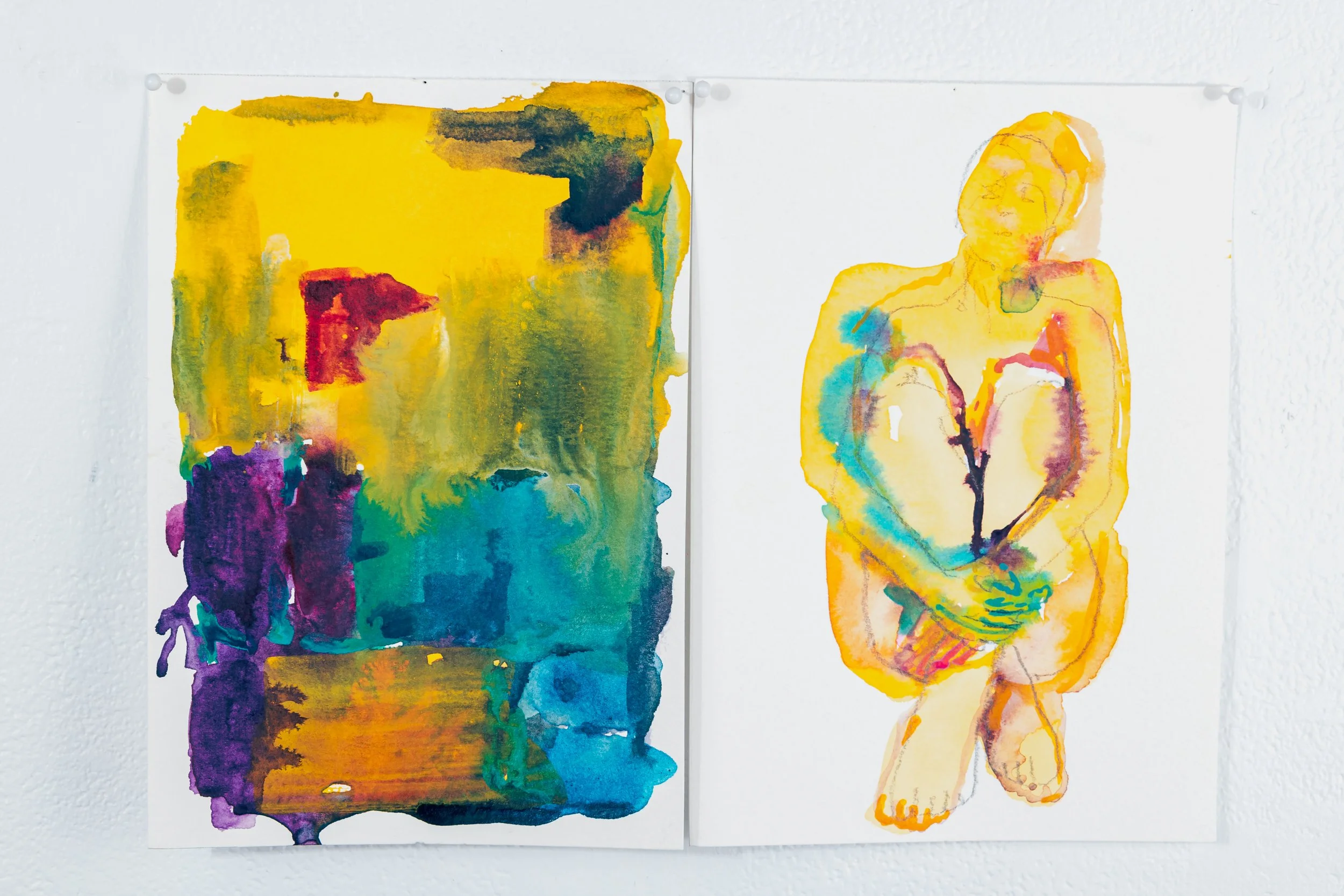 Chromatic Variations: Colour as Subject Diptych No.6