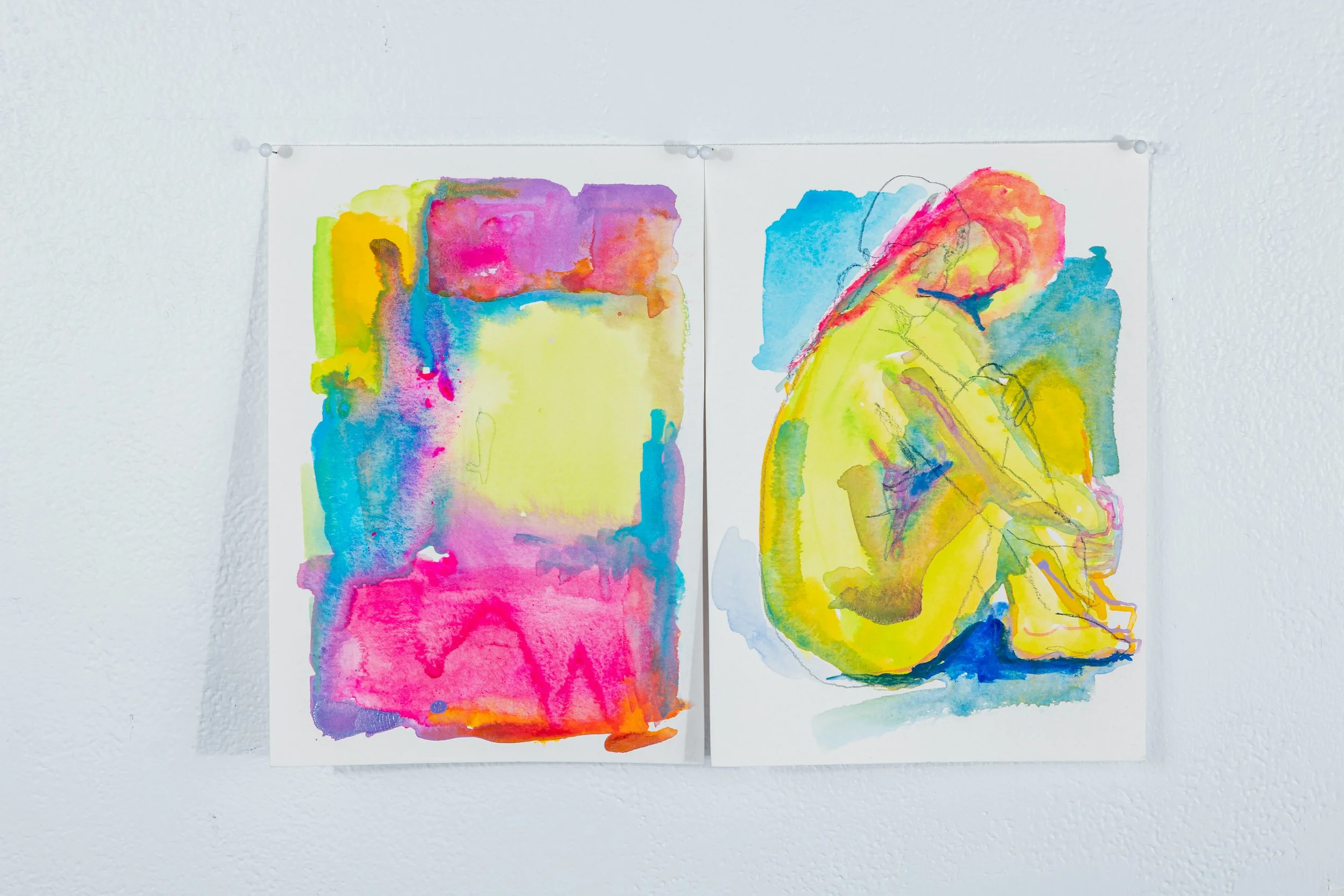 Chromatic Variations: Colour as subject (diptych) No. 8
