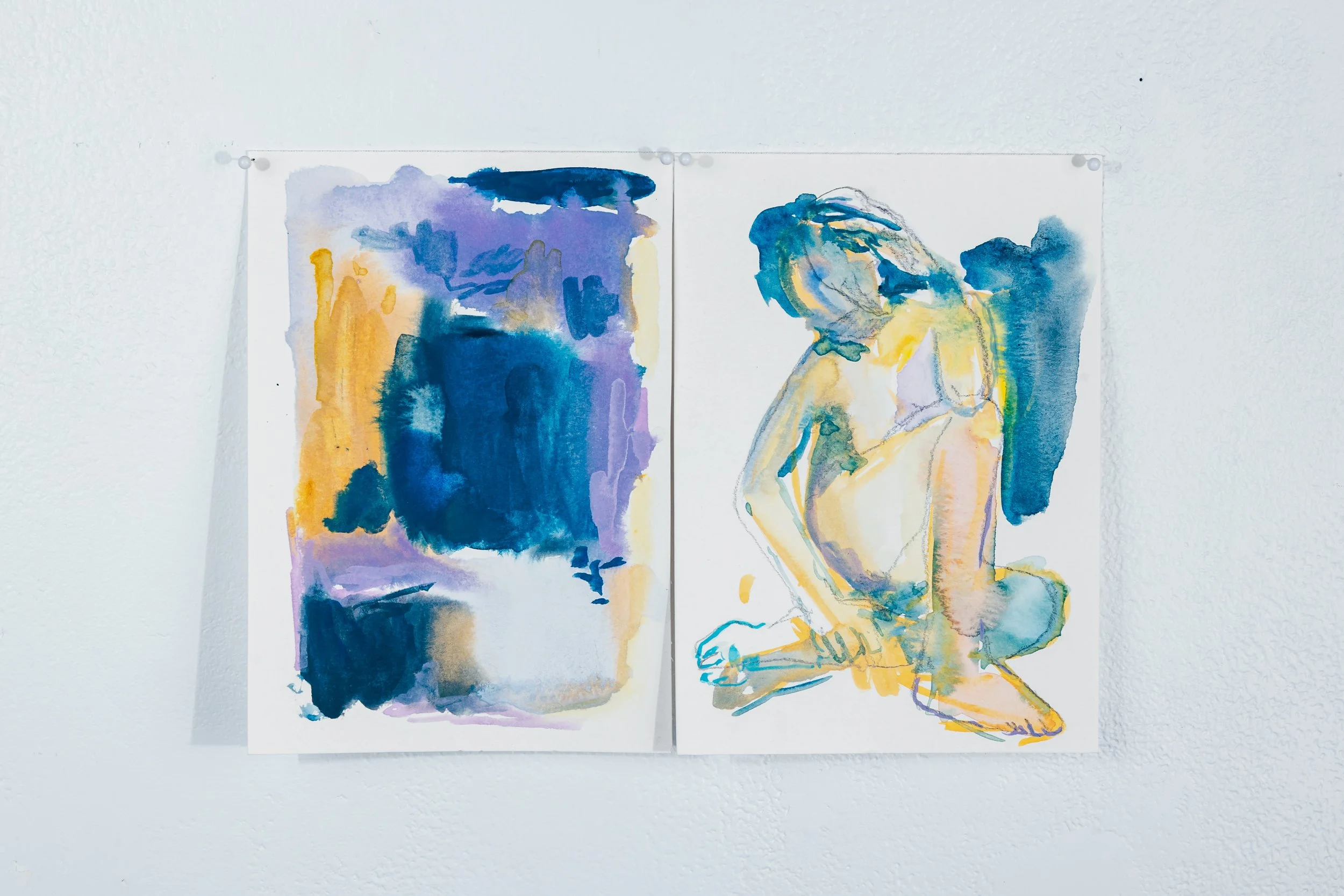 Chromatic Variations: Colour as subject (Diptych) No. 9