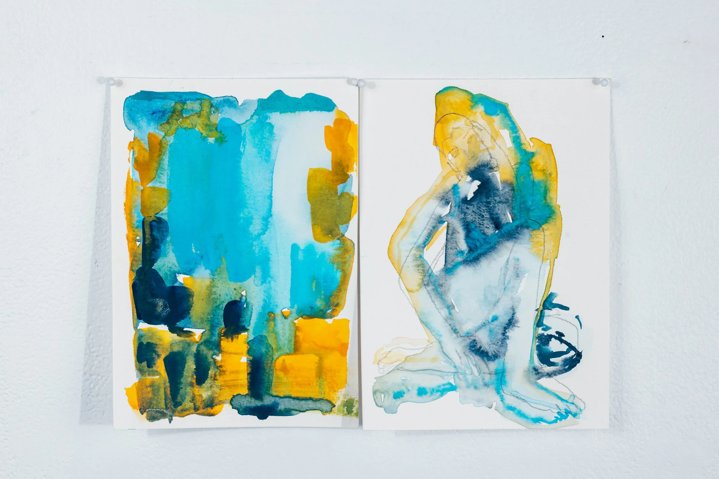 Chromatic Variations: Colour as subject (diptych) No. 10