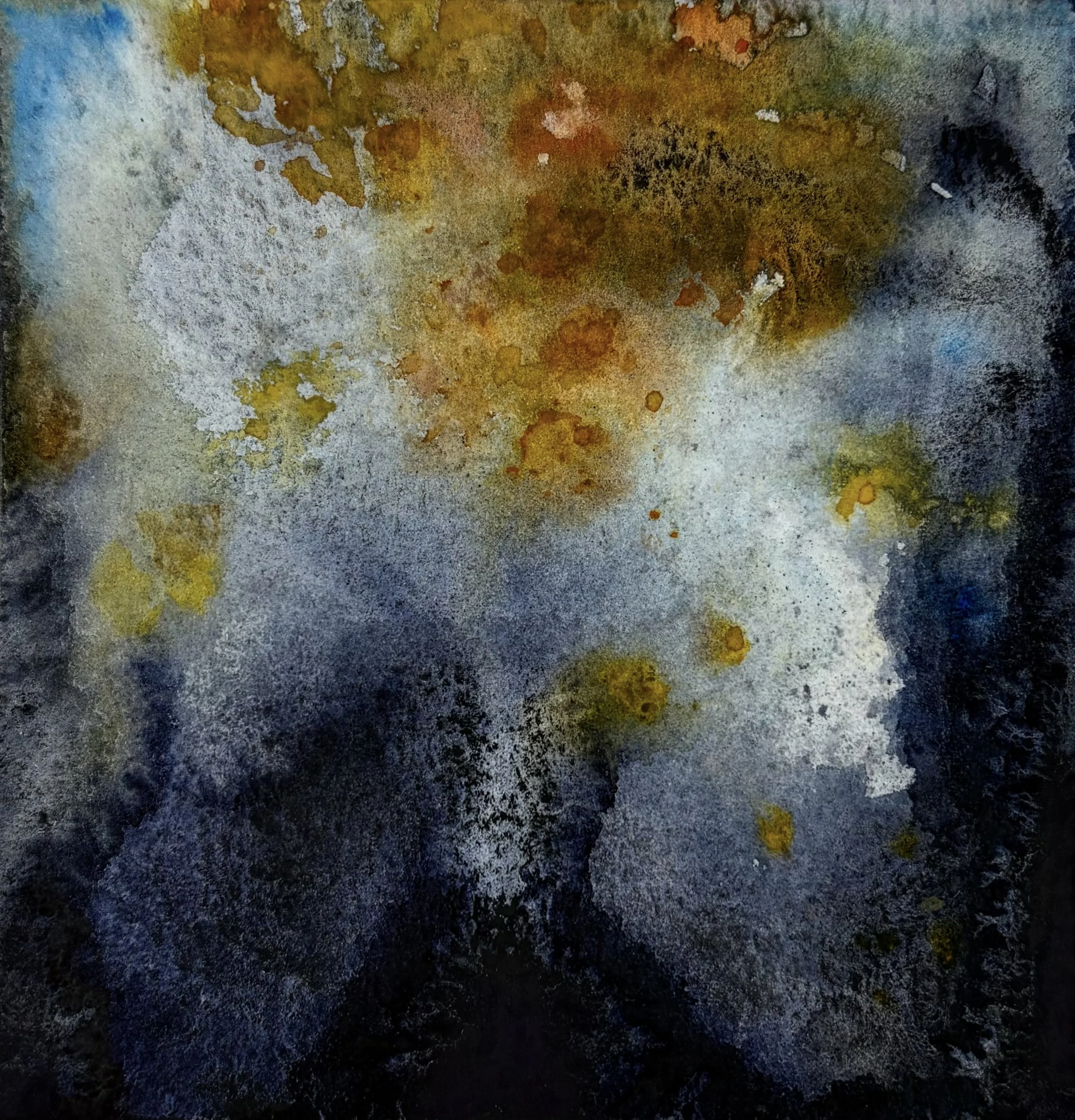 06.Lichen_Body_(Texture_Study_5).jpeg