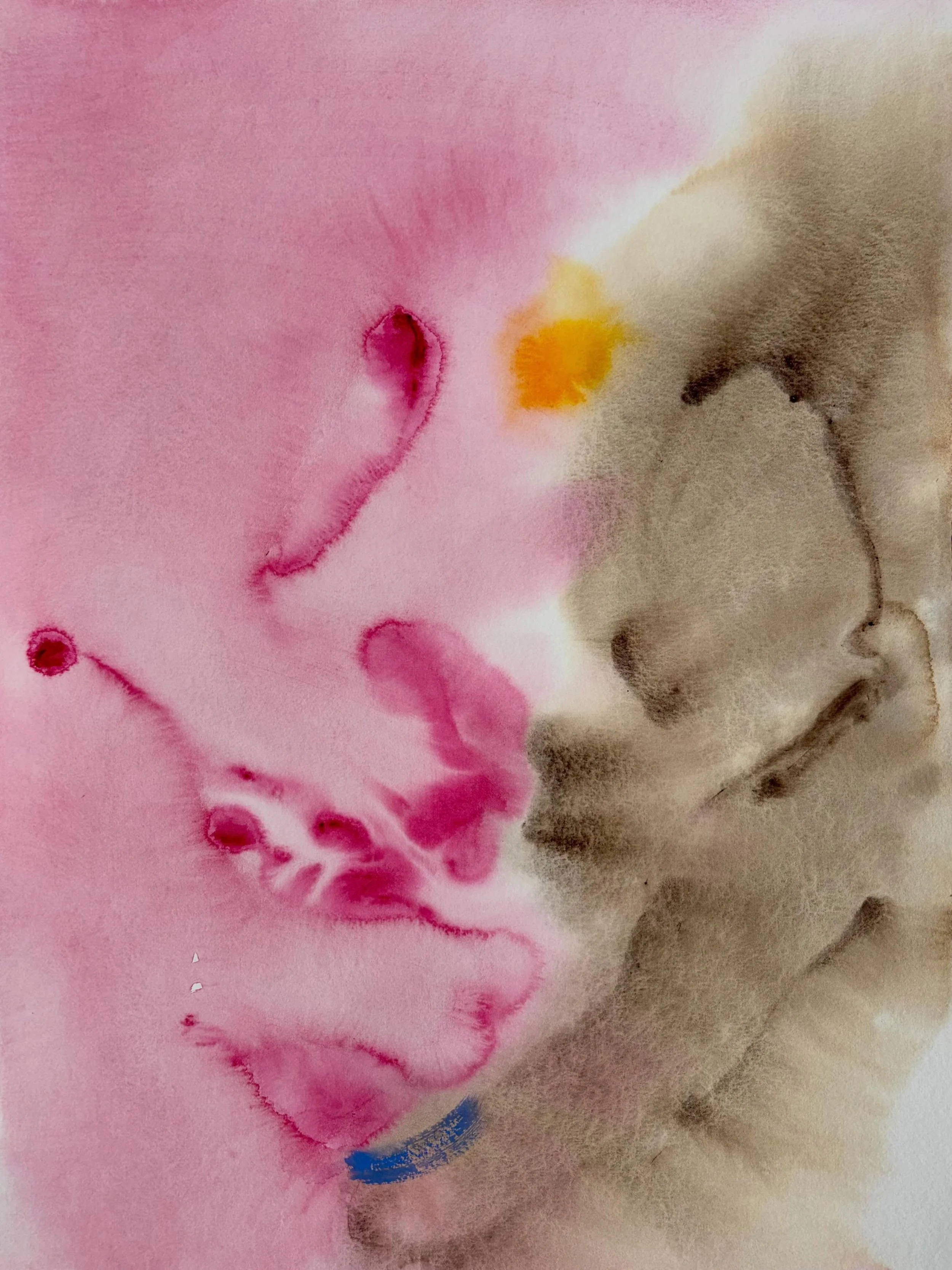 Thinking about relationship through watercolour &mdash; how colours meet, blend, resist, and change one another.

#watercolourpainting #contemporarypainting #abstractwatercolour #colourandgesture #canadianartist