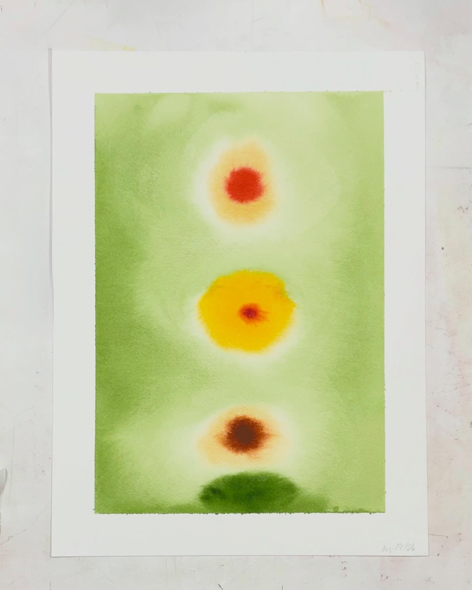 A bit of August.

#artiststudio #studiopractice #watercolourartist #artprocess #summerpainting