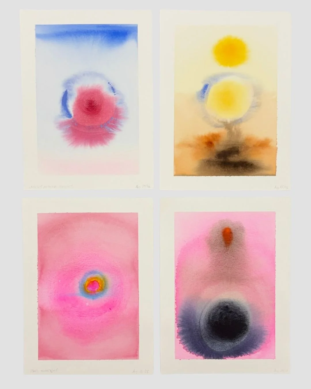  Watercolour on paper  9 × 12 inch / each 