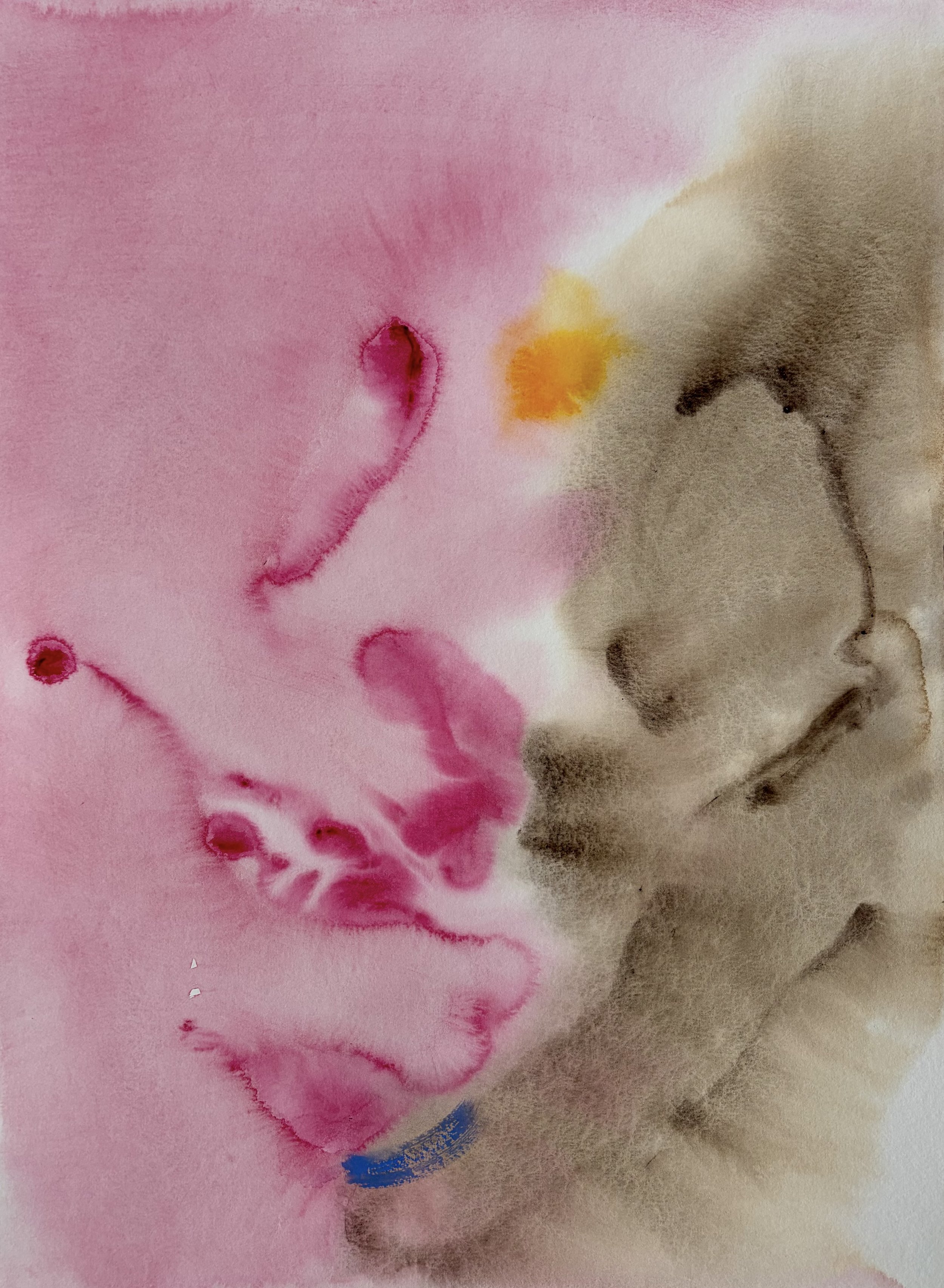  Watercolour on paper  18 × 25 inch 