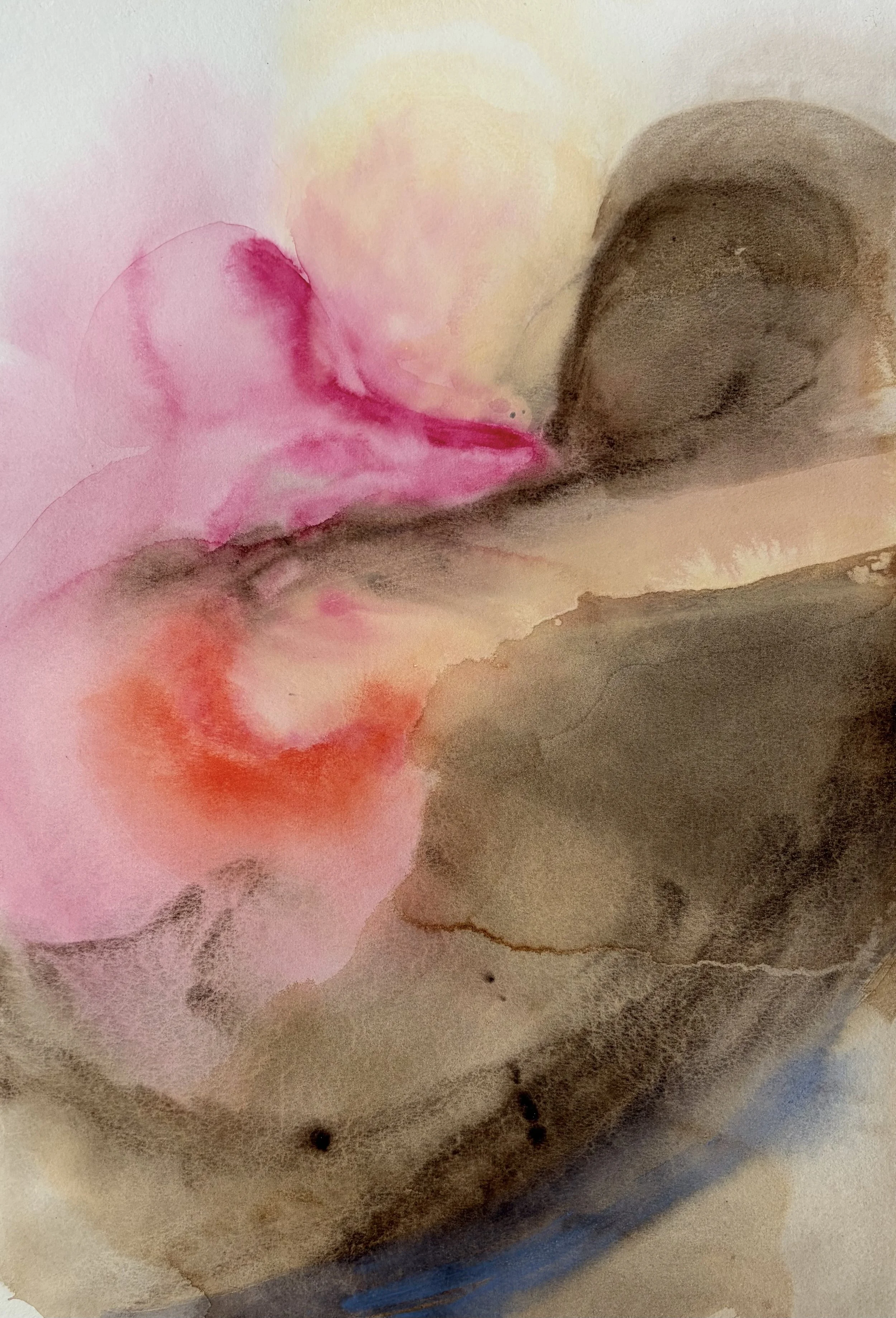  Watercolour on paper  18 × 25 inch 
