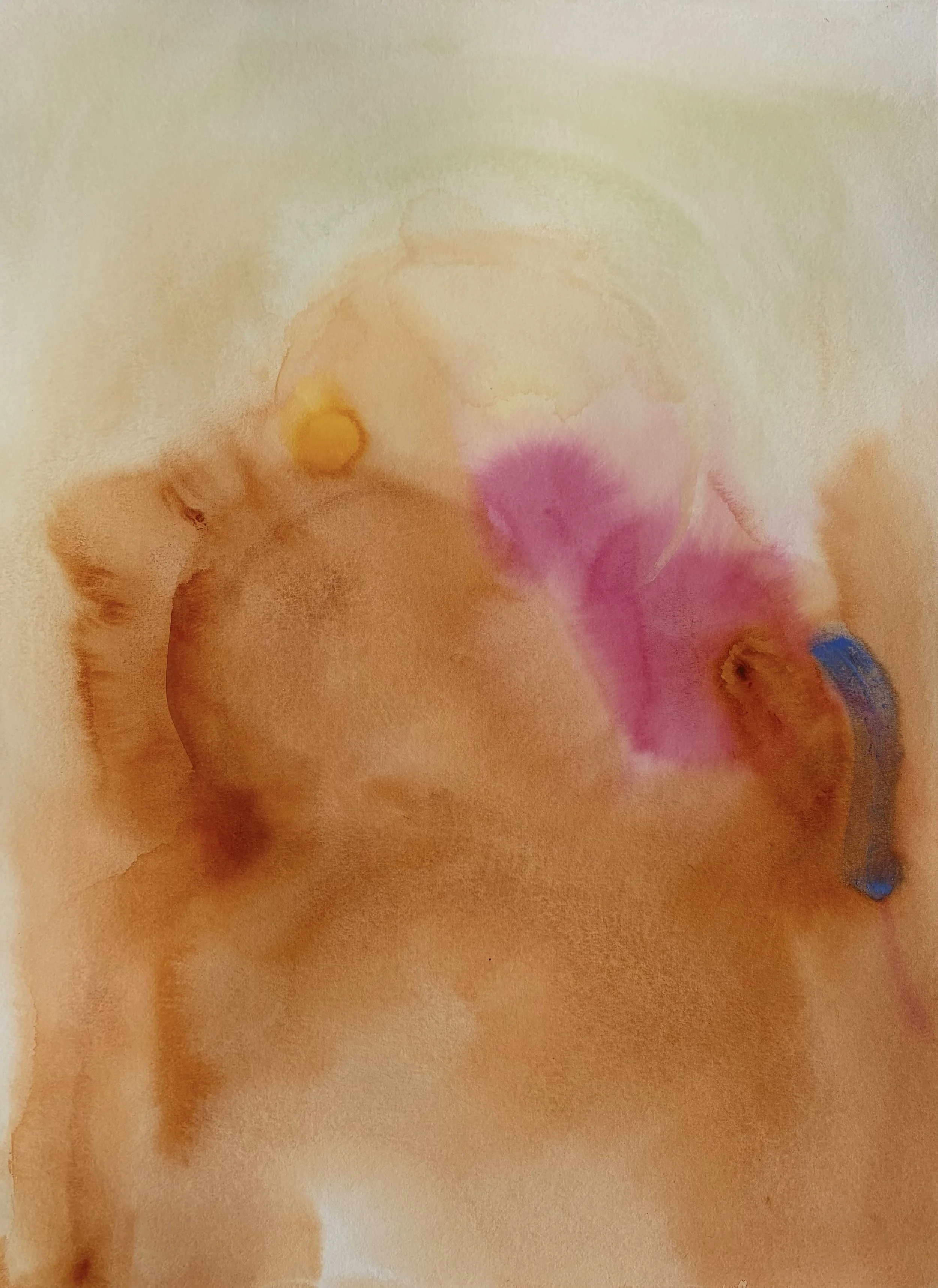  Watercolour on paper  18 × 25 inch 