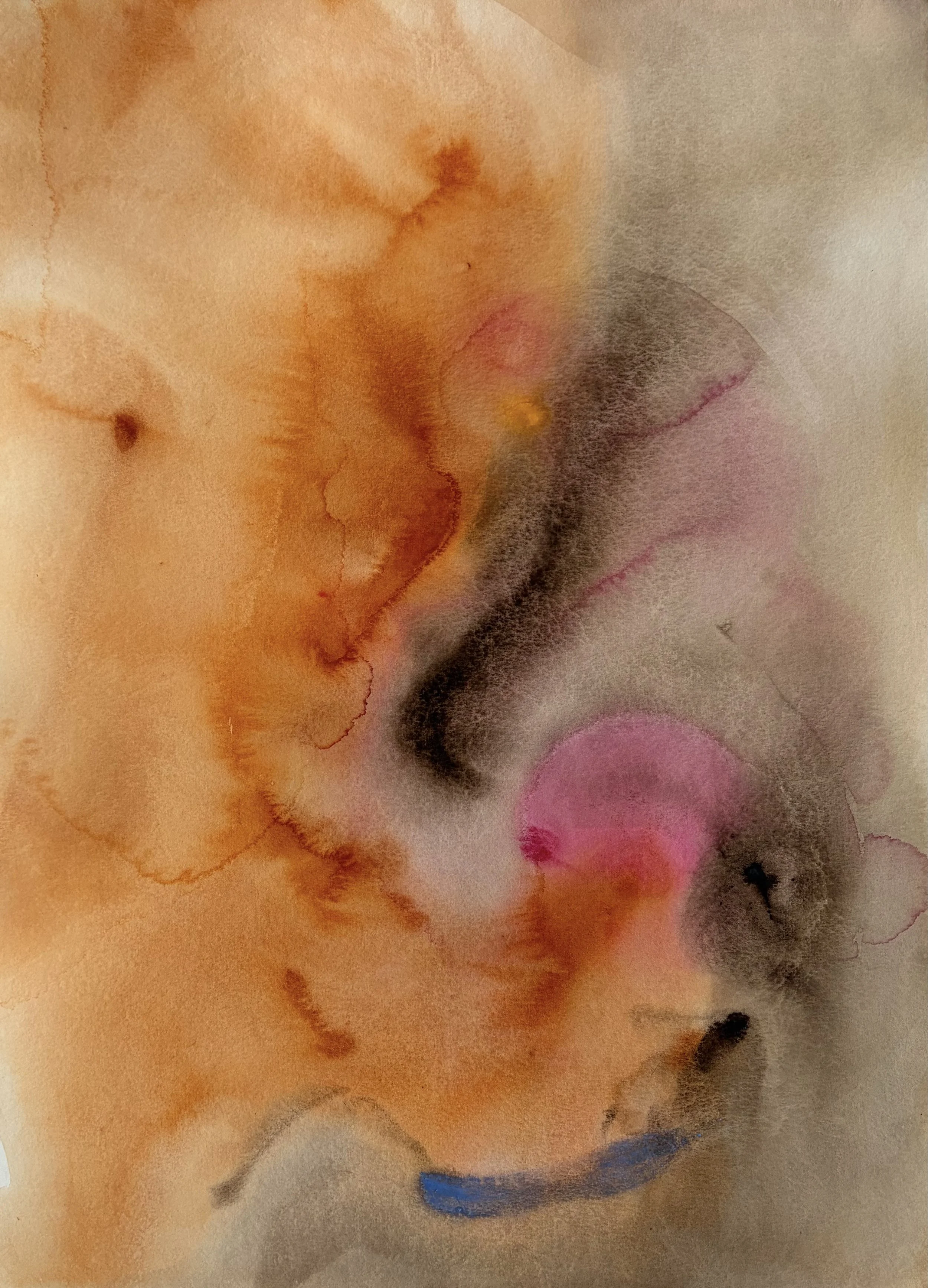  Watercolour on paper  18 × 25 inch 