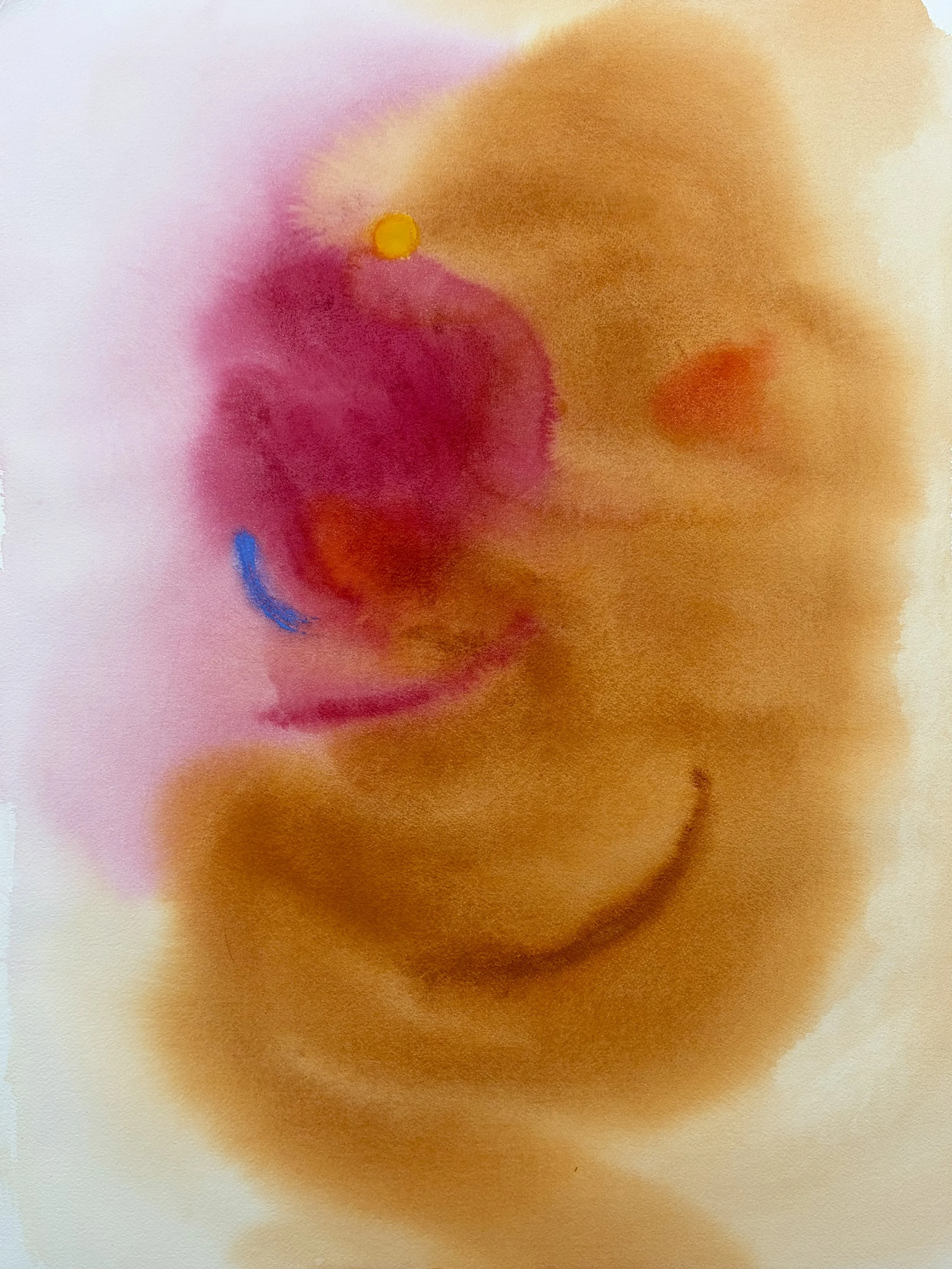  Watercolour on paper  18 × 24 inch 