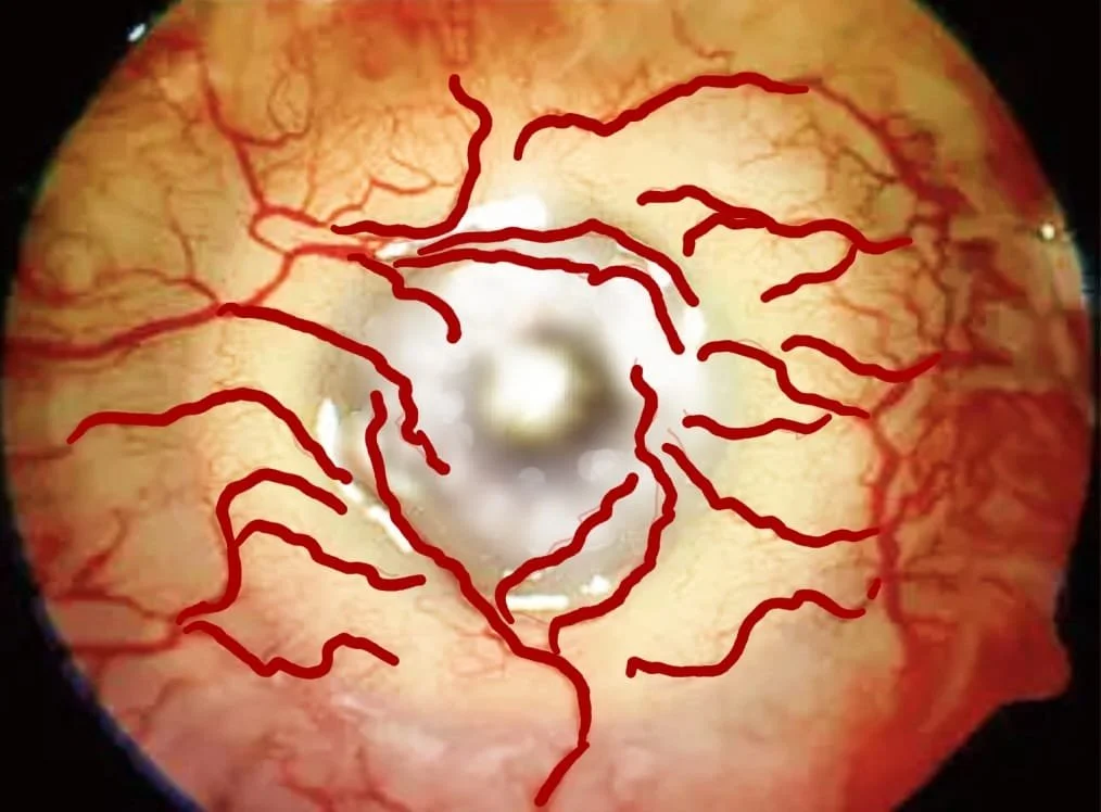 77b3d813-d8f6-4baa-8af0-7c18d97f8426 5.JPG