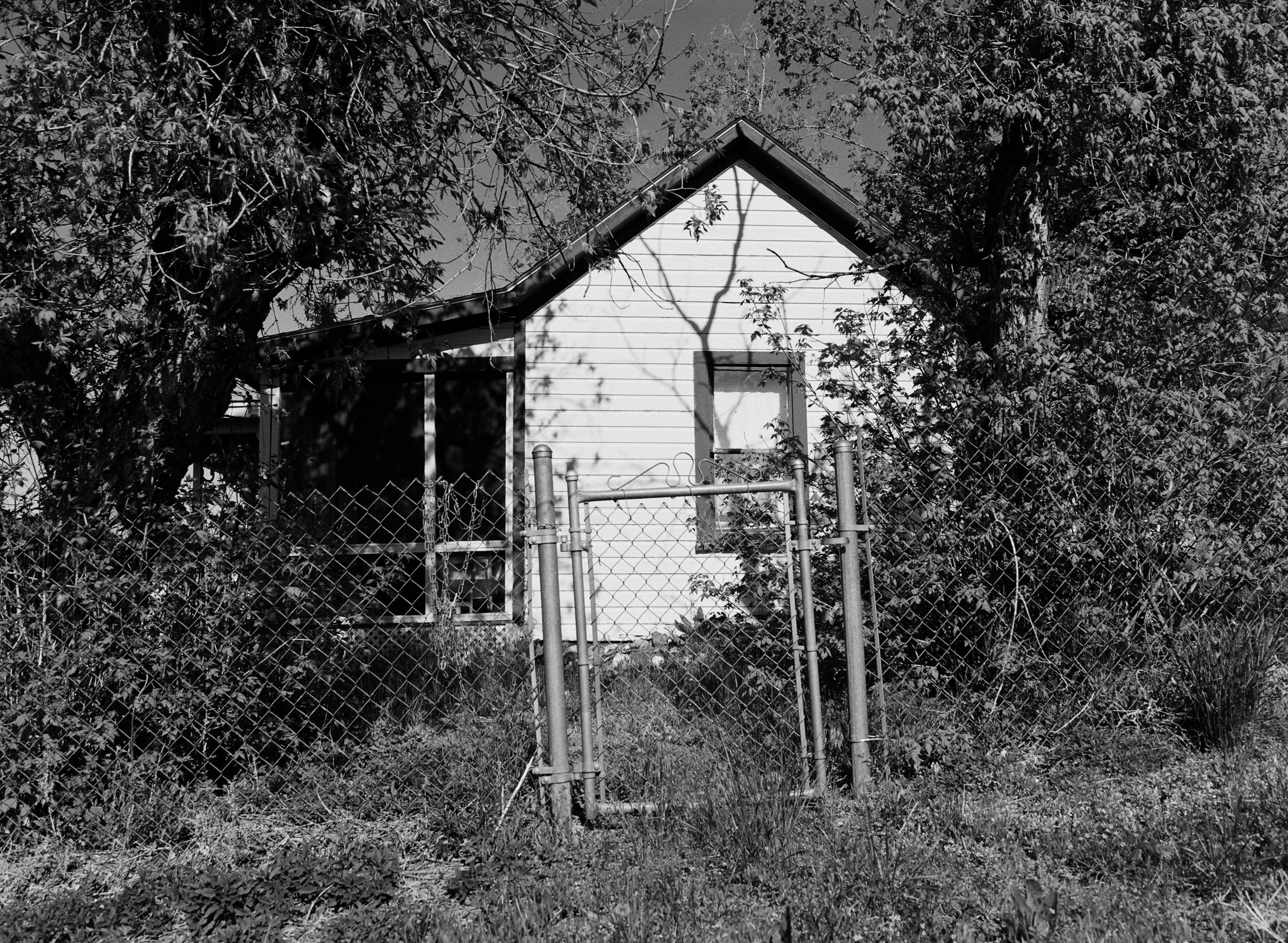 702587_0015.jpg