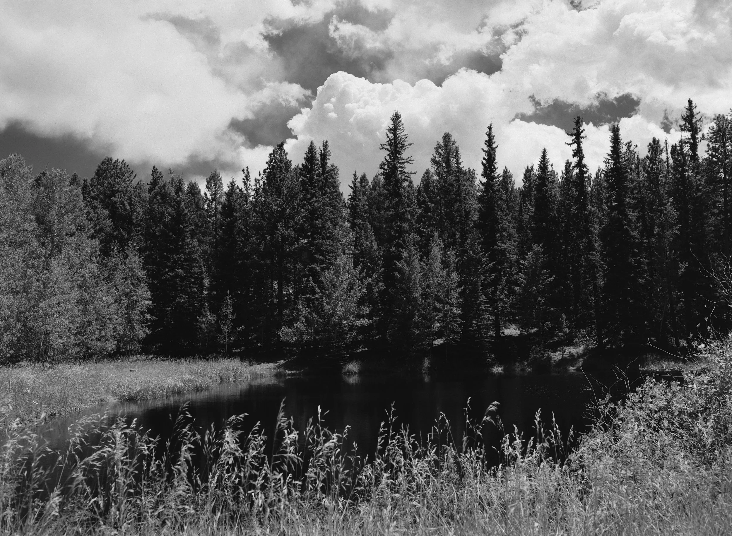 664184_0015.jpg