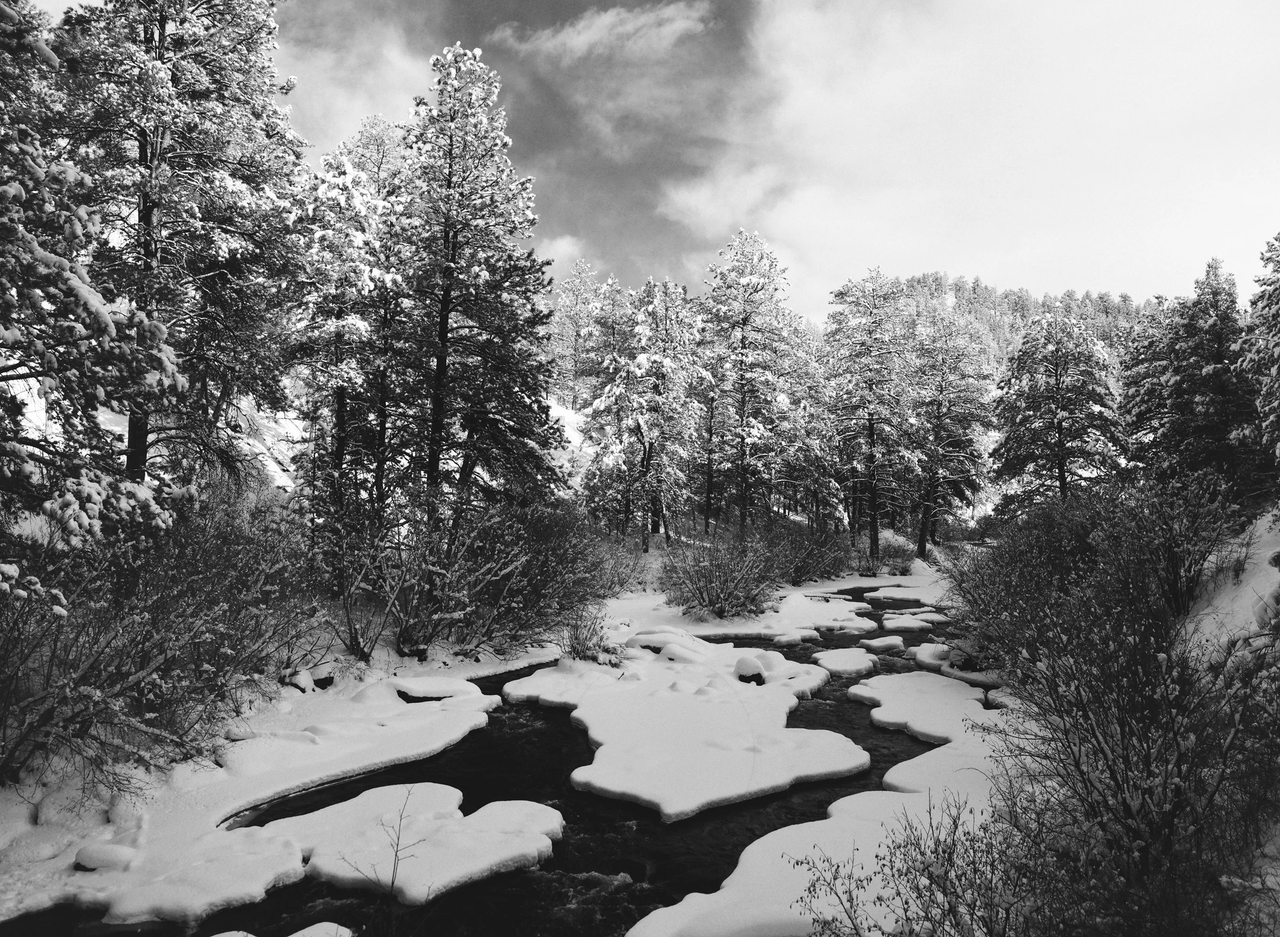 676359_0015.jpg