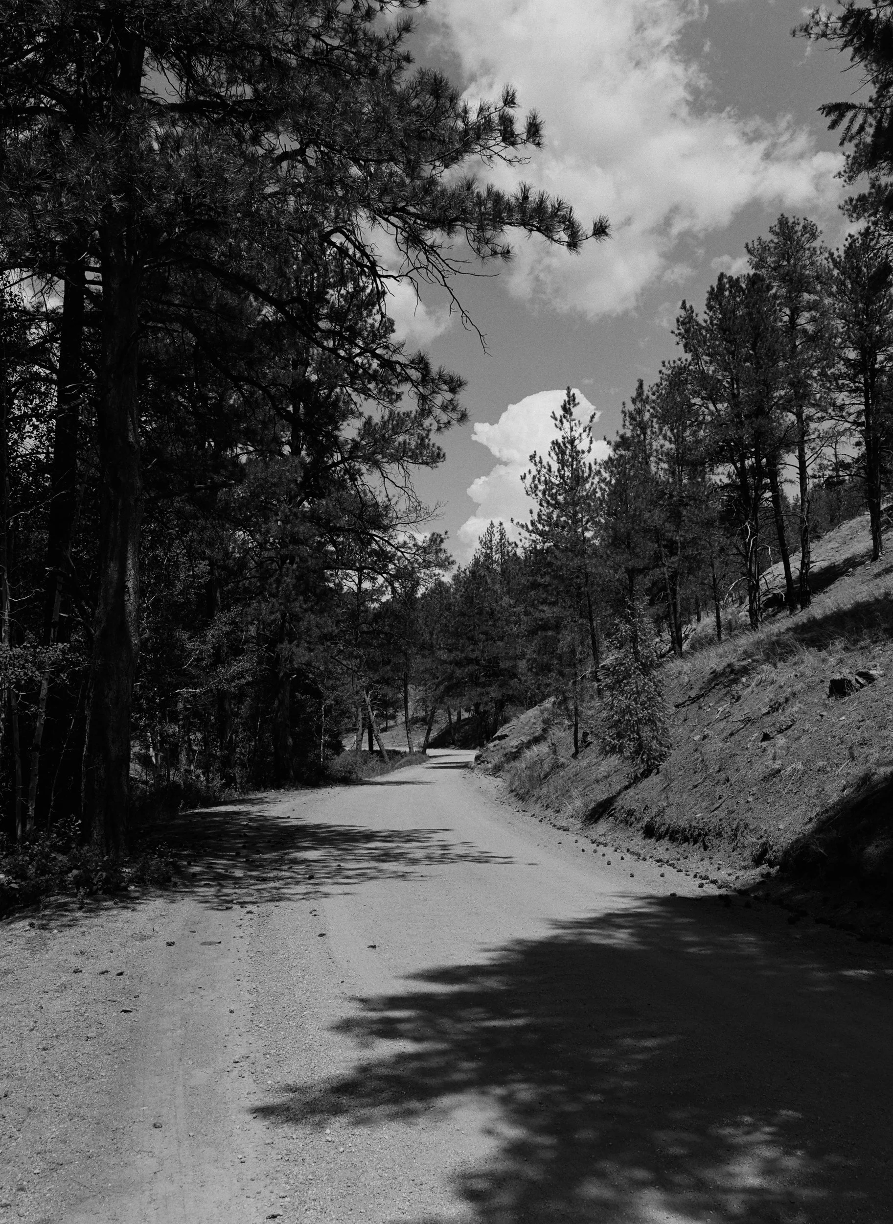 702808_0003.jpg