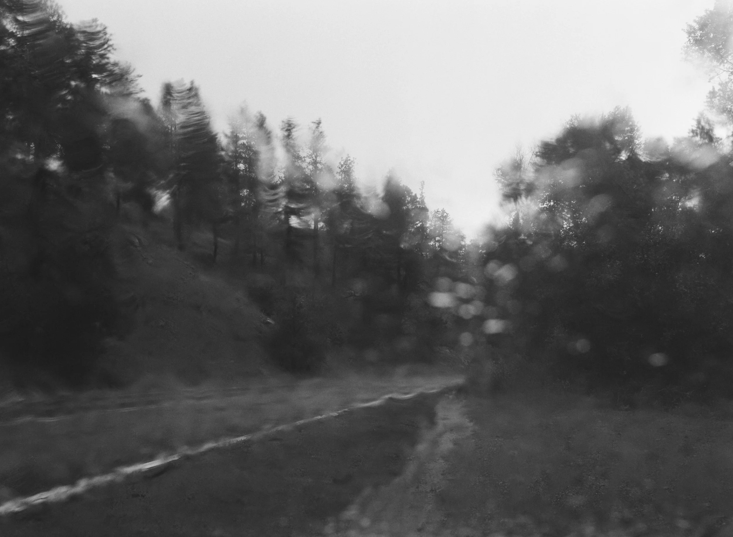 703605_0010.jpg