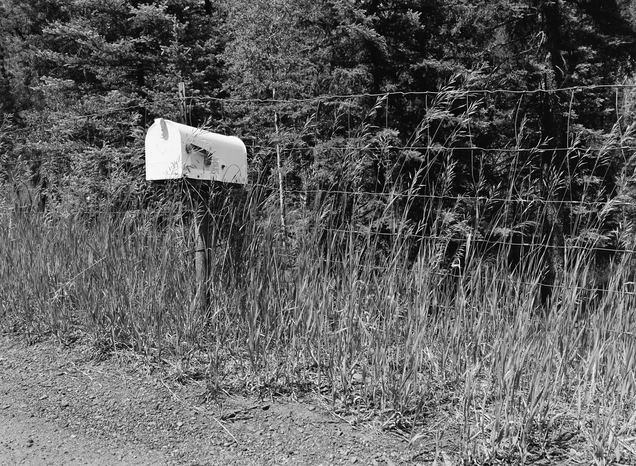 703607_0008.jpg