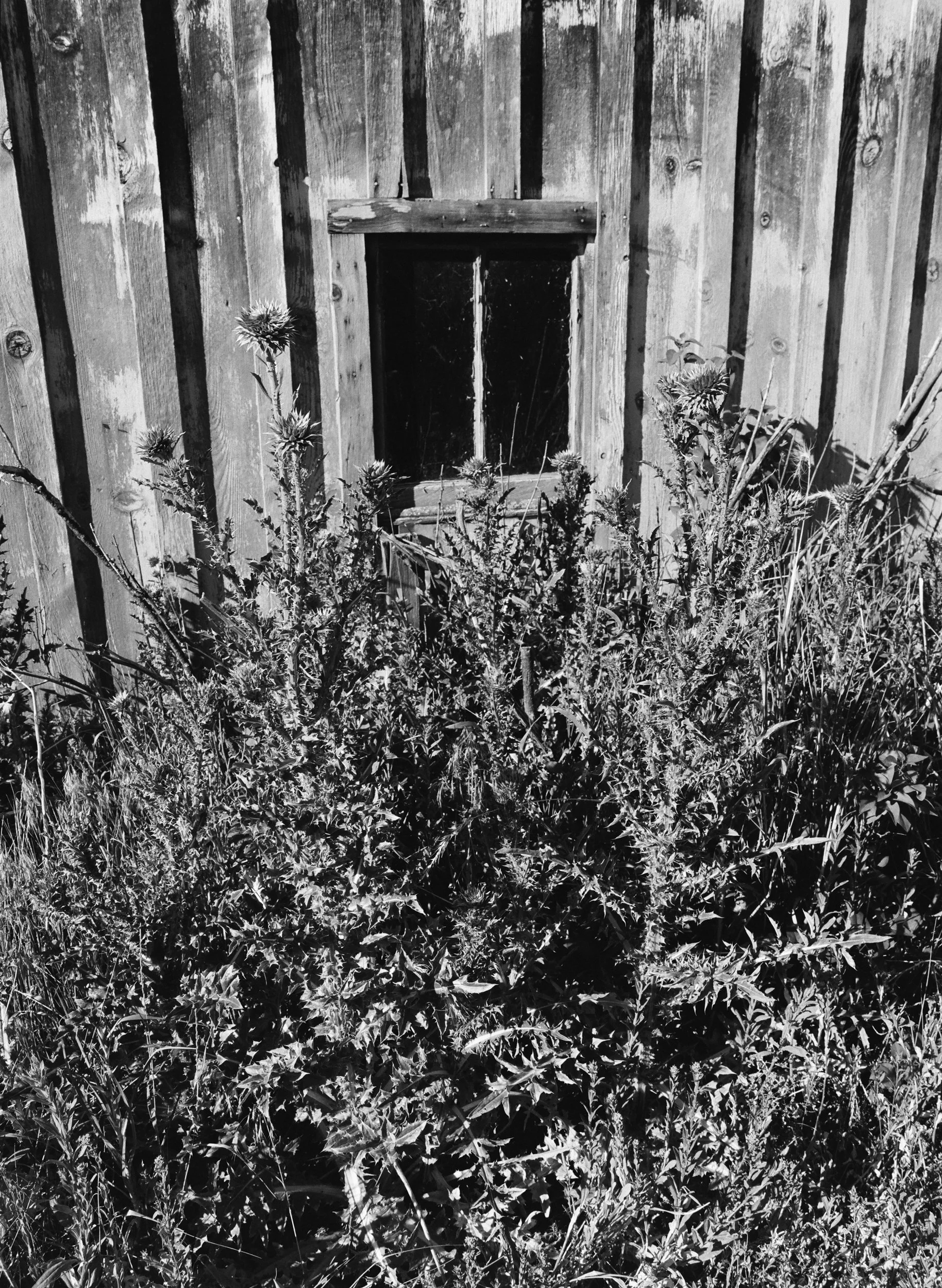 703602_0009.jpg