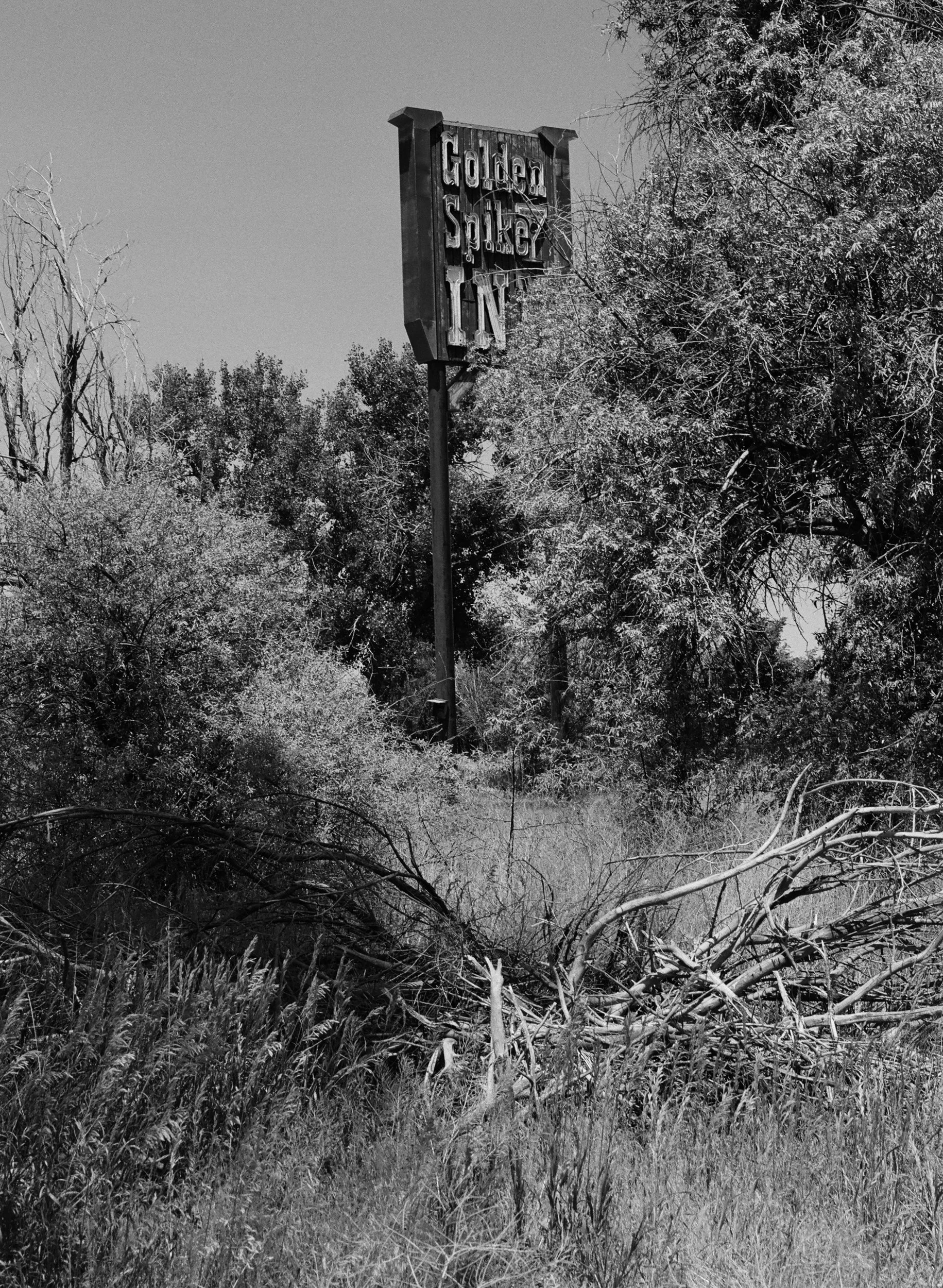 703606_0009.jpg