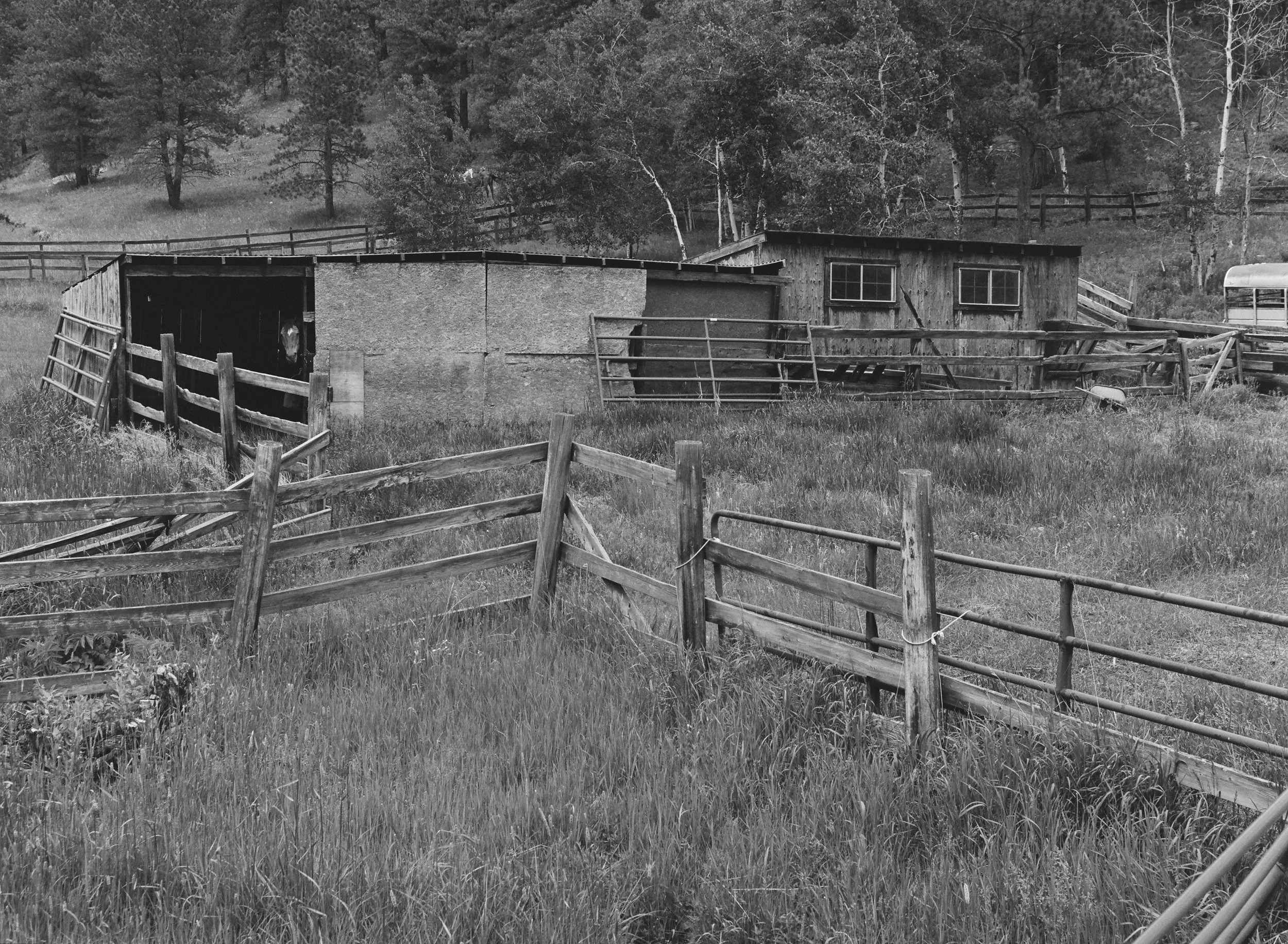 703607_0011.jpg