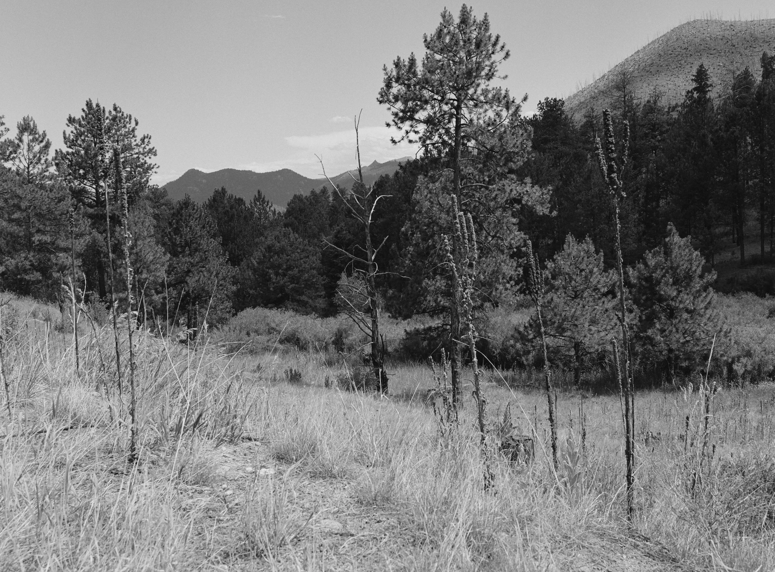 703745_0009.jpg