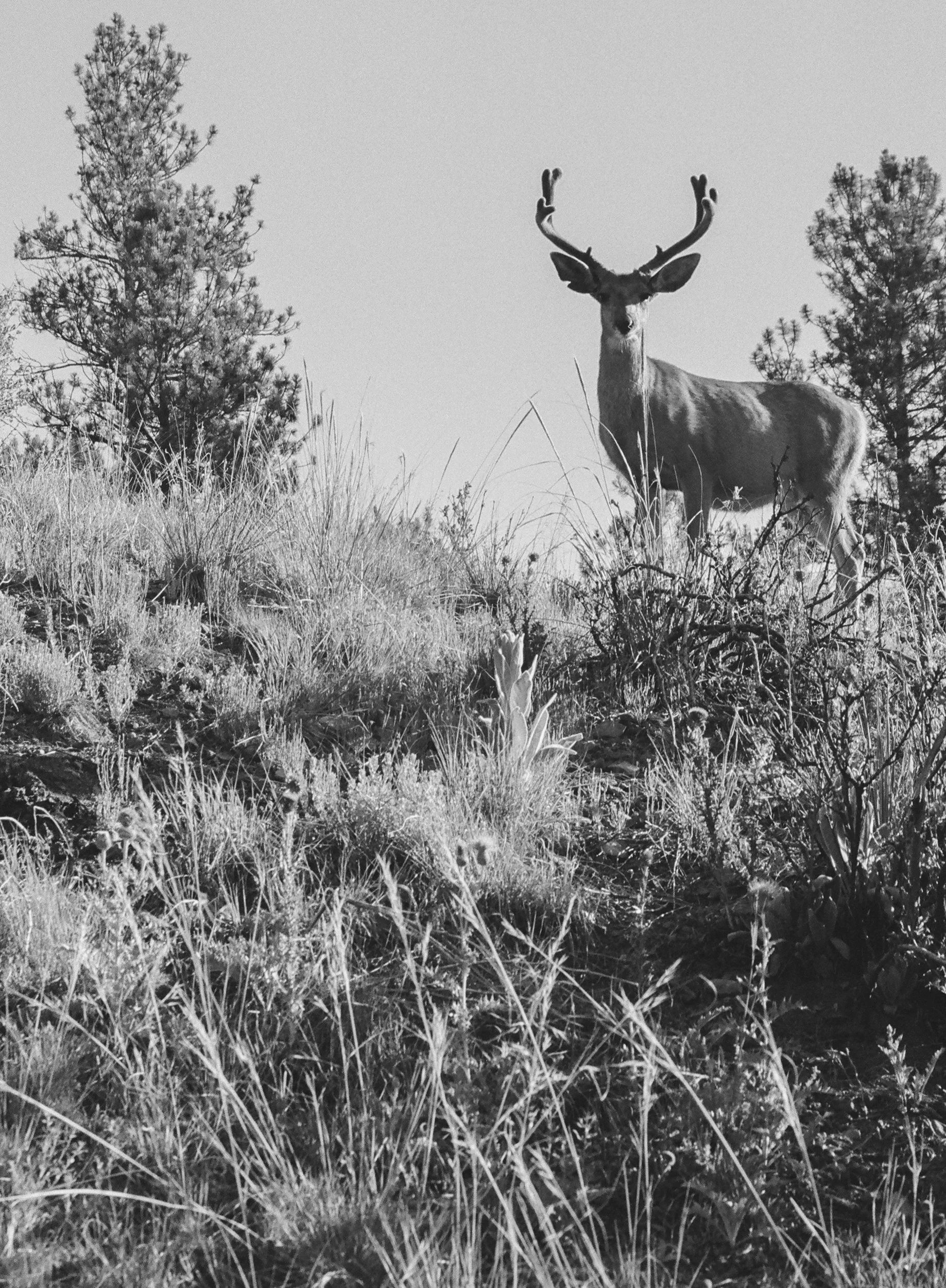 703745_0015.jpg