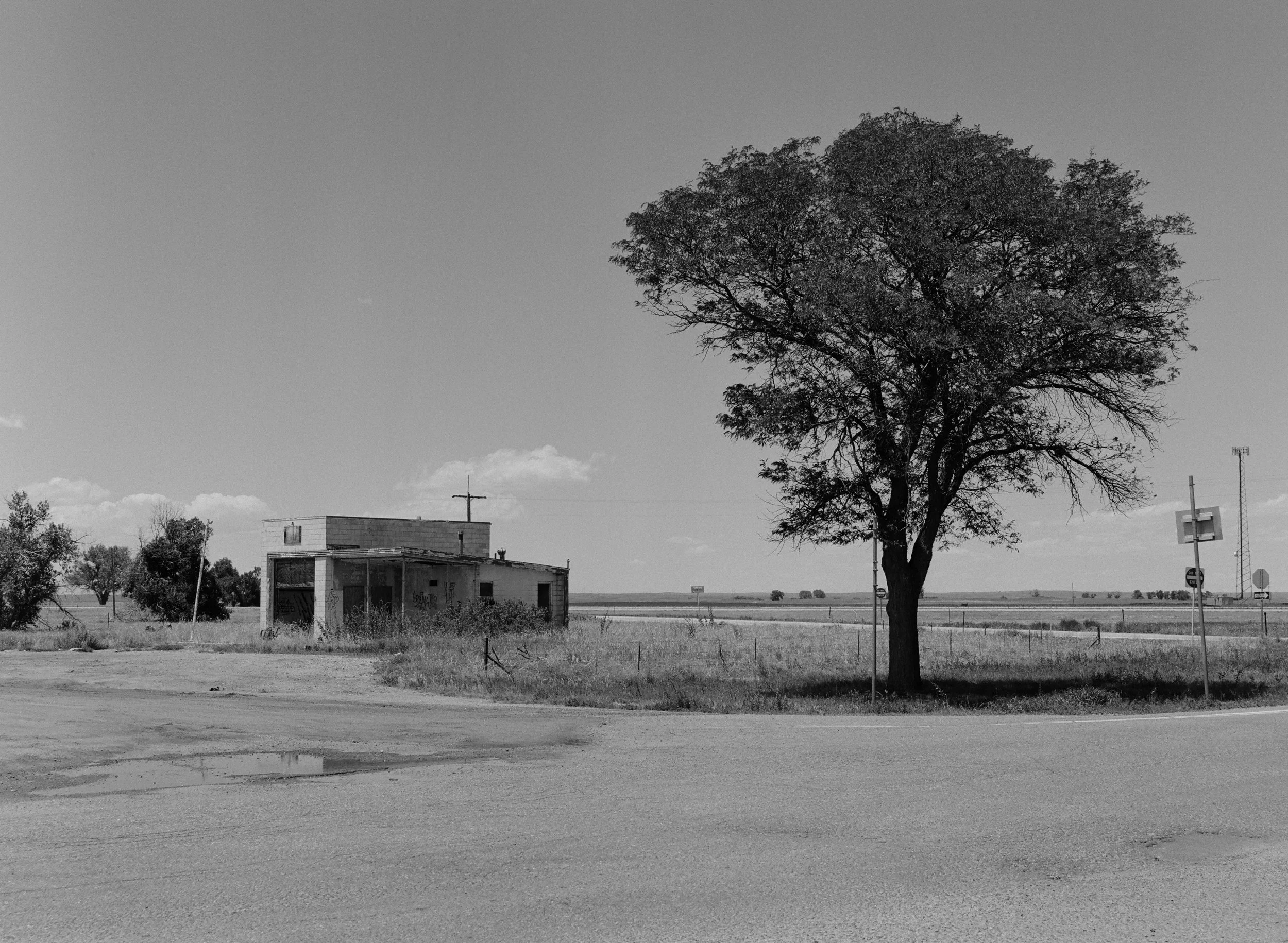 703749_0003.jpg