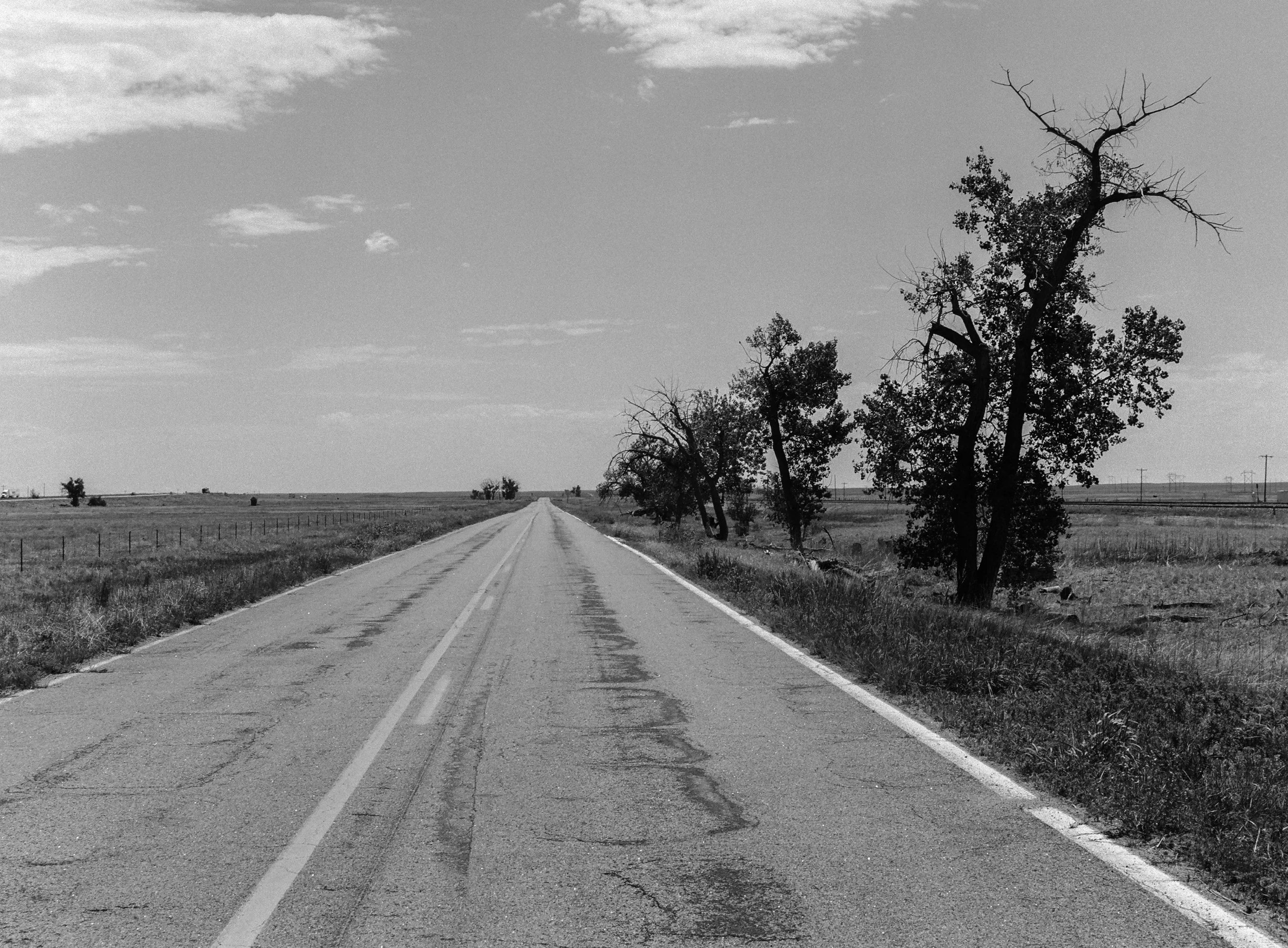 703750_0009.jpg