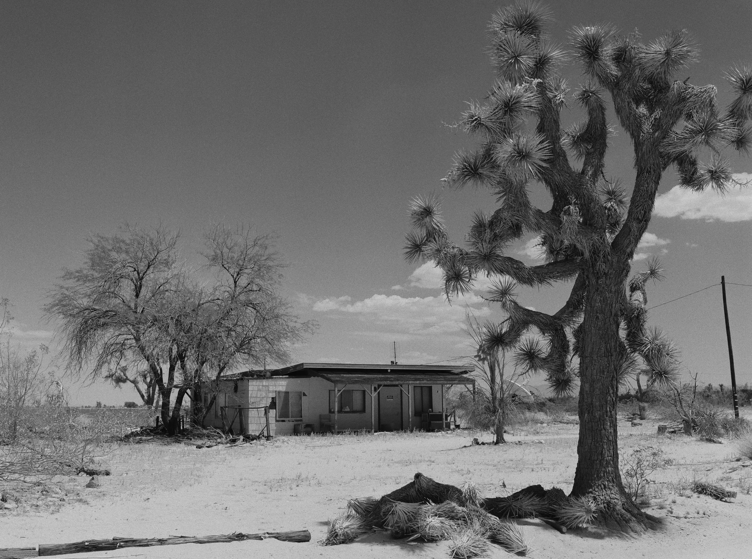 620865_0008.jpg