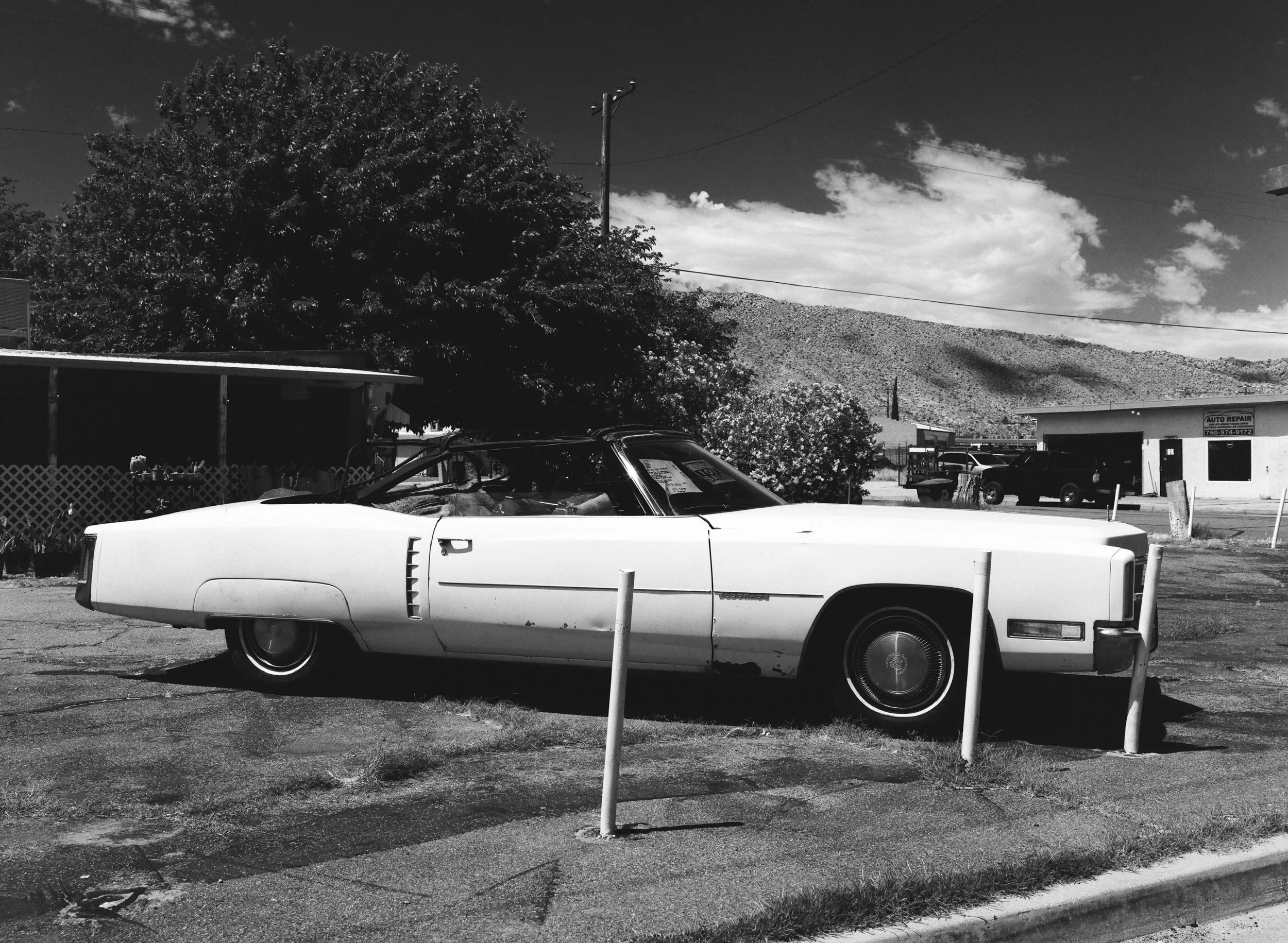 621619_0010.jpg
