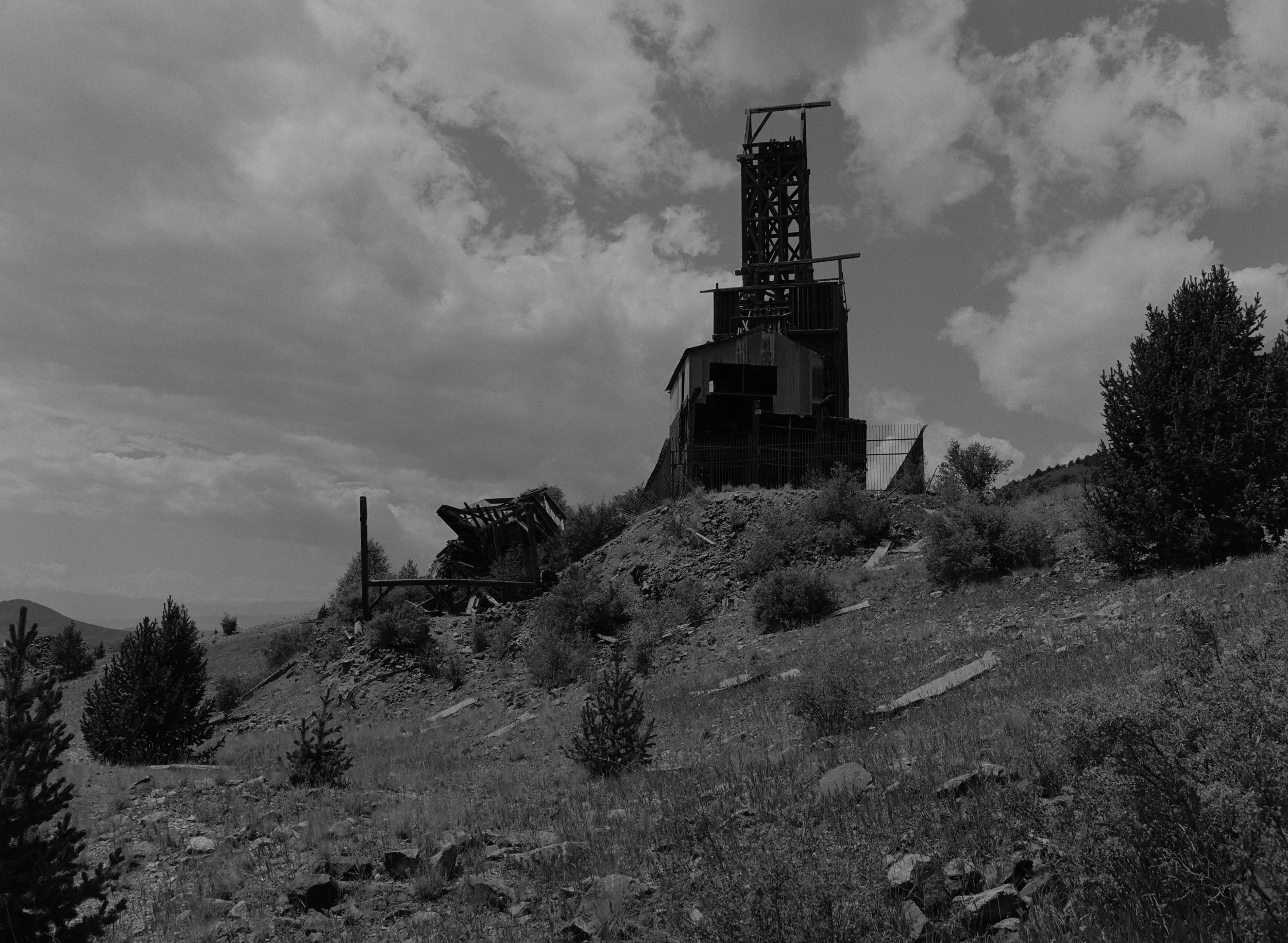 719046_0009.jpg