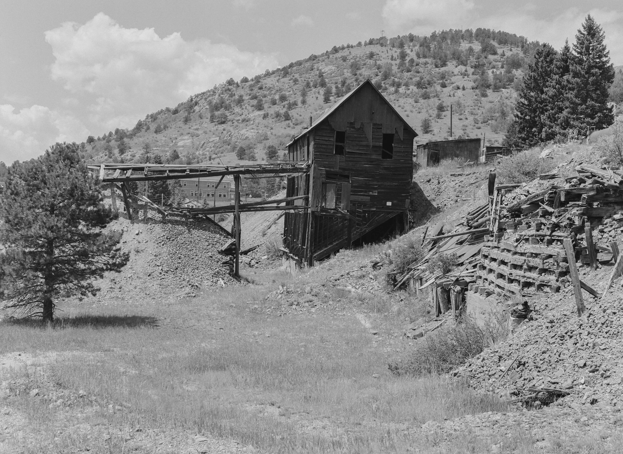 719046_0012.jpg