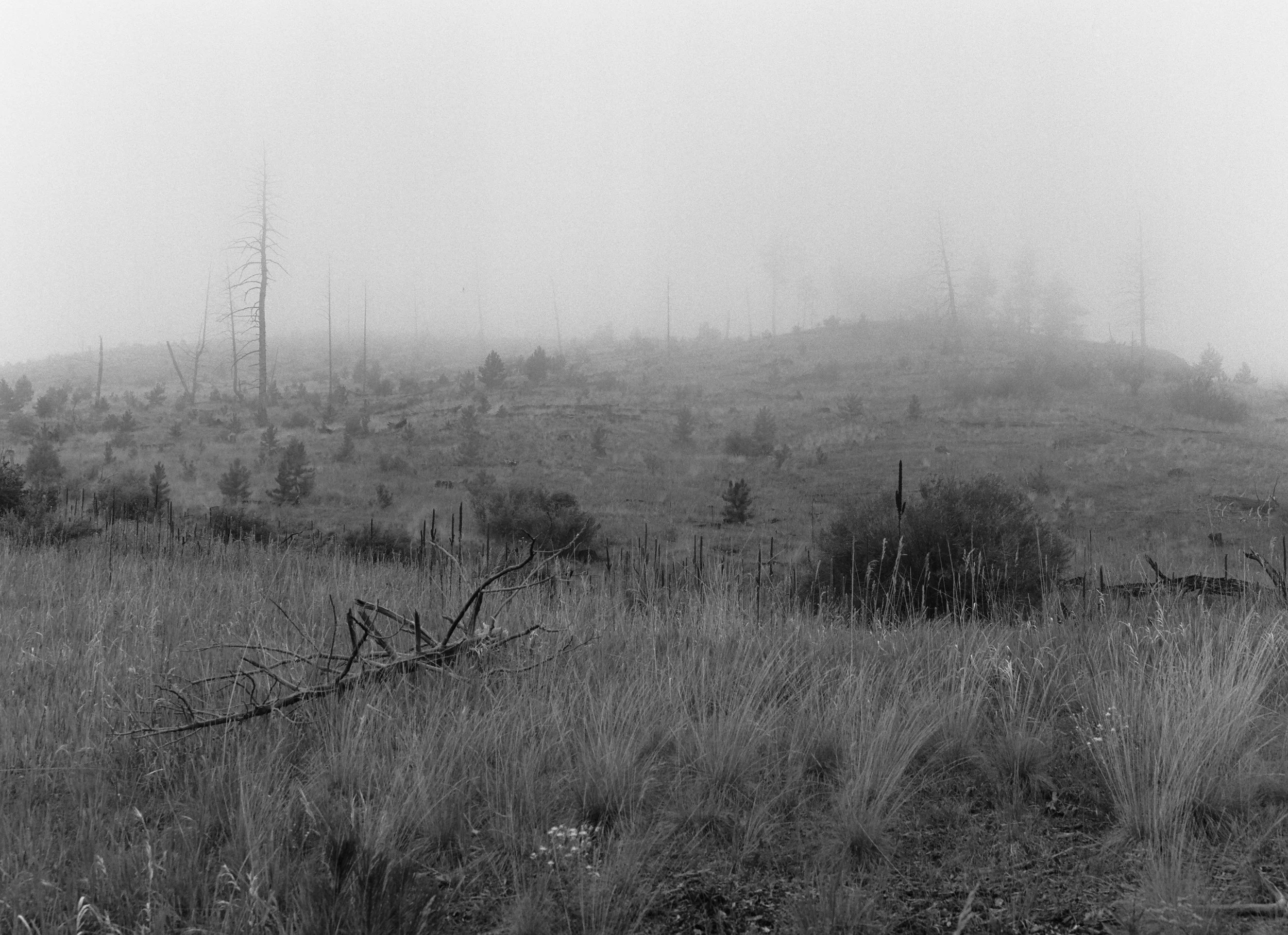 719045_0009.jpg