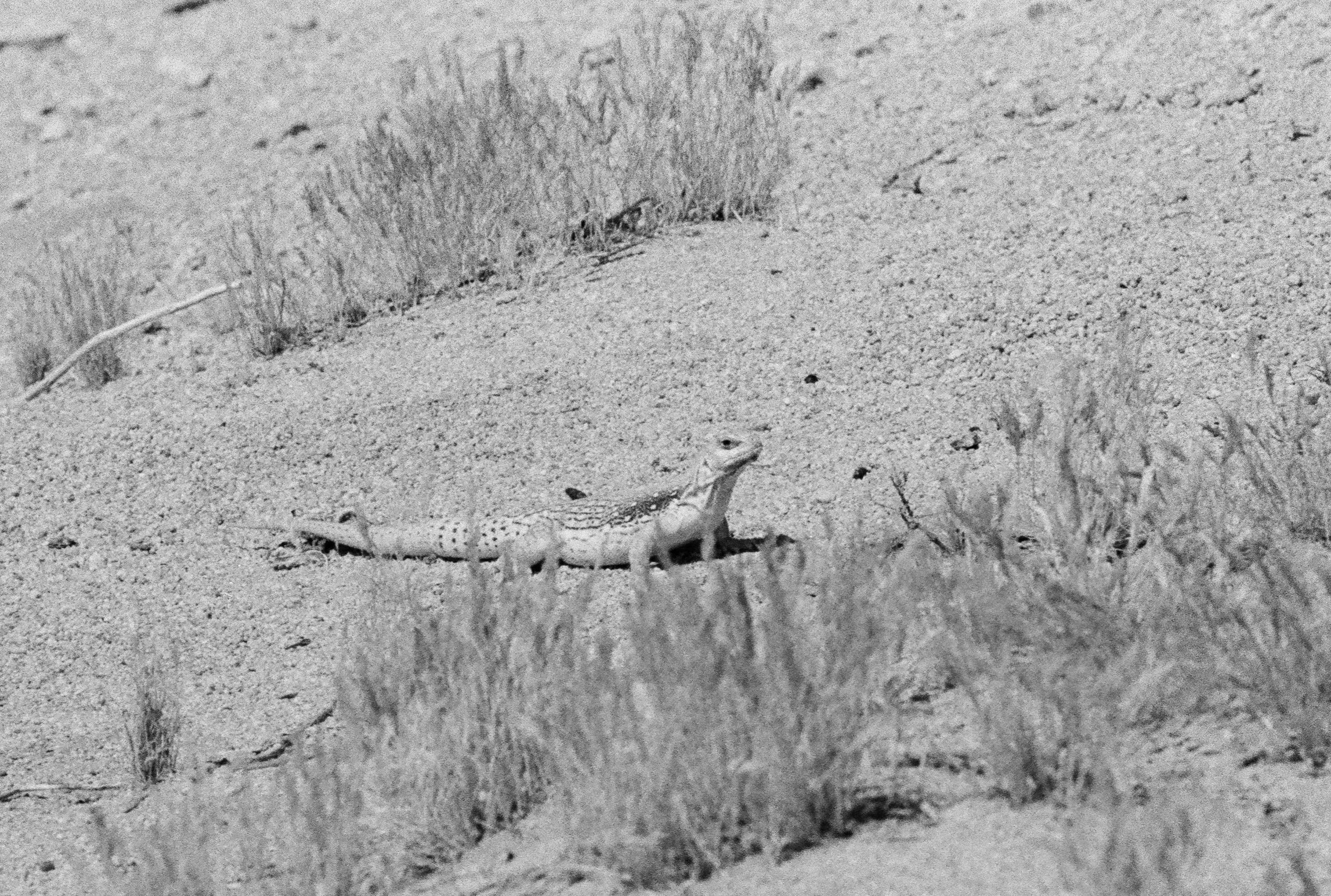 620472_0037.jpg