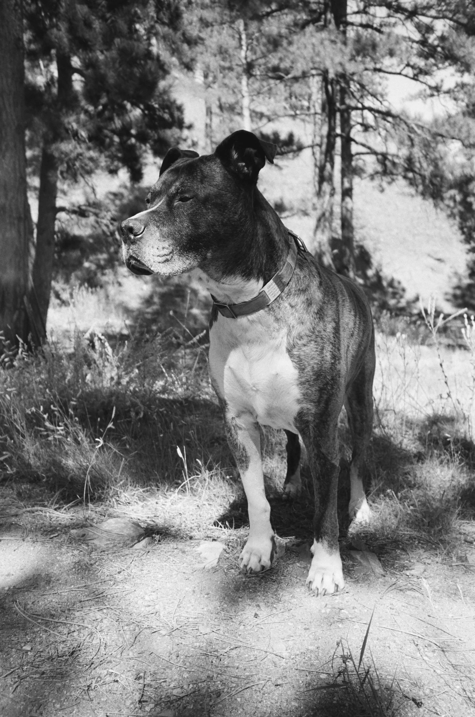 732551_0033.jpg