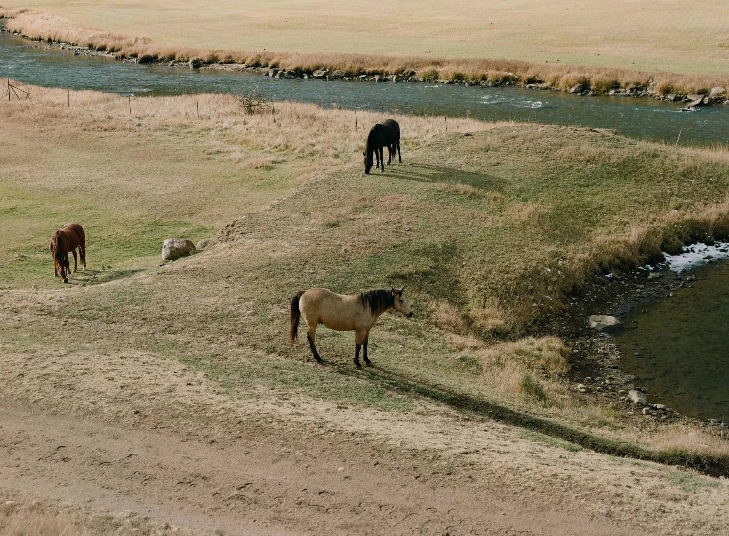 679366_0013.jpg