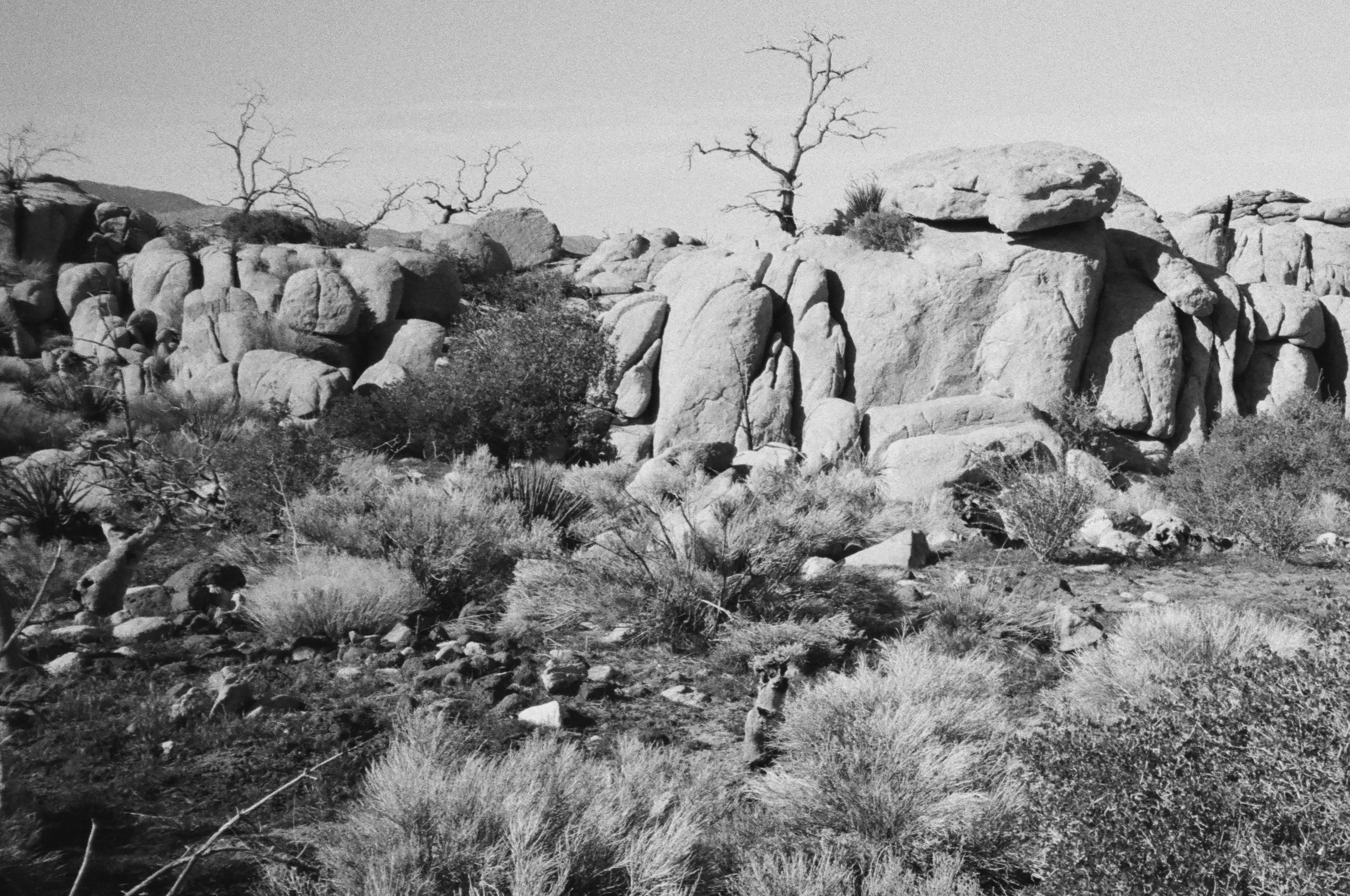 609119_0032.jpg