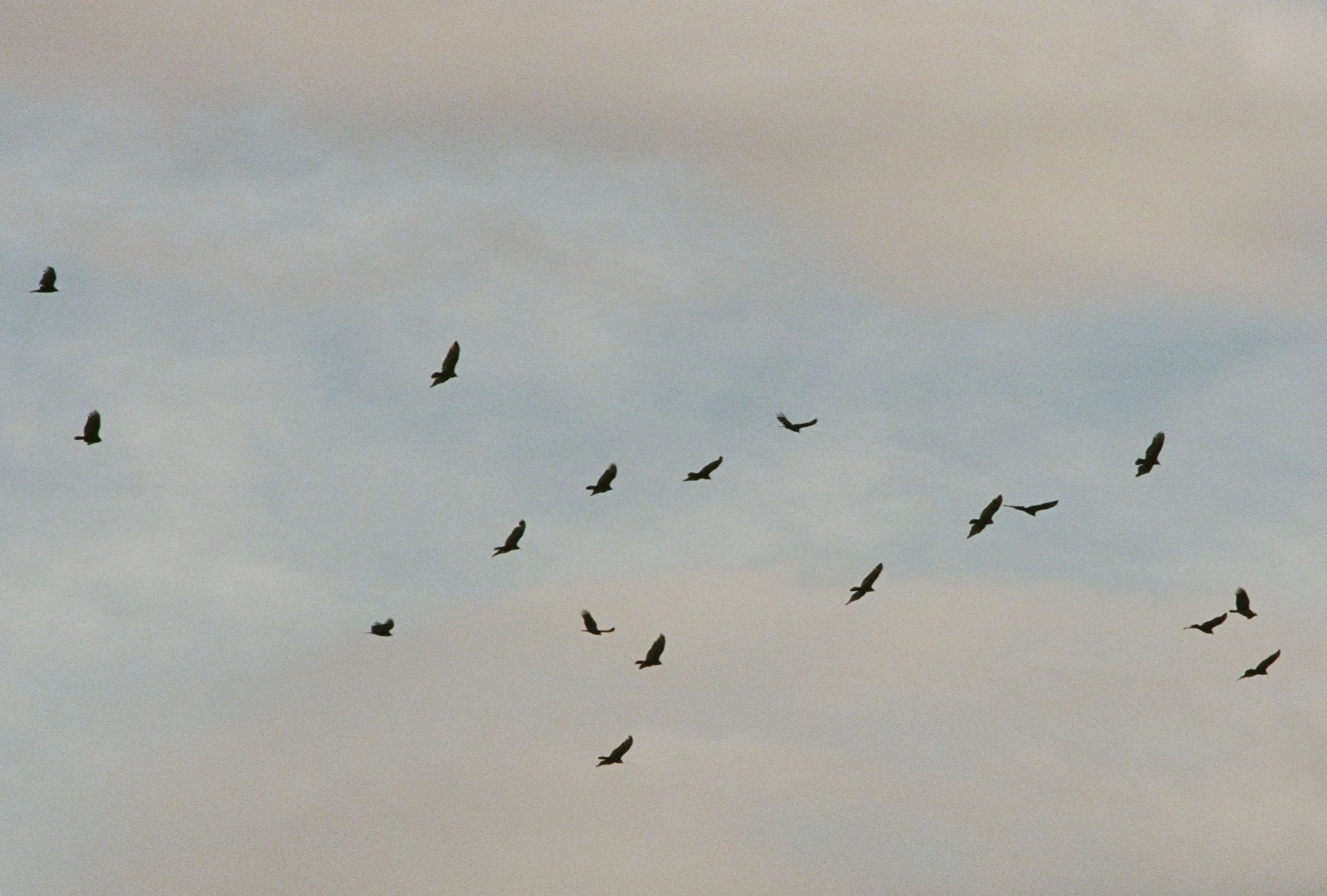 614624_0014.jpg