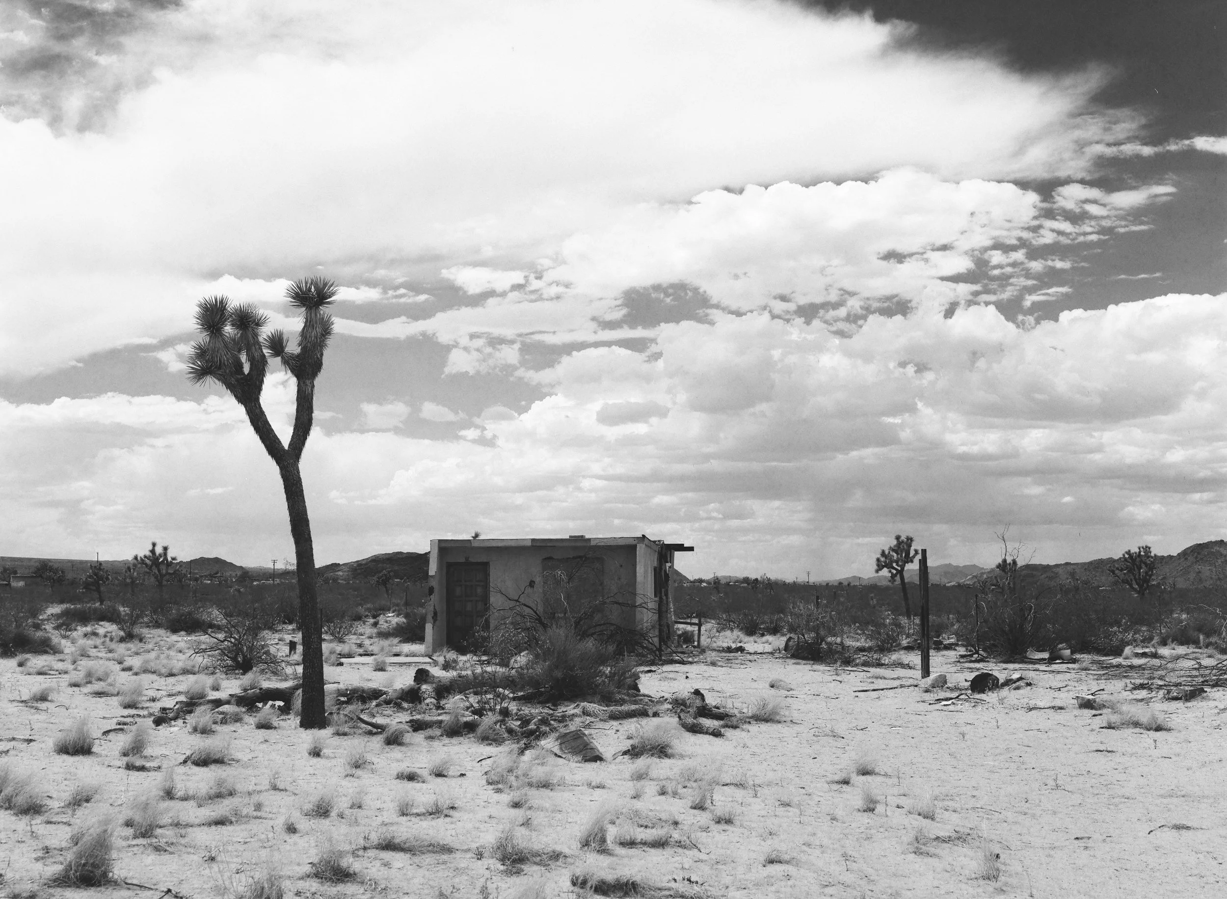 620872_0011.jpg