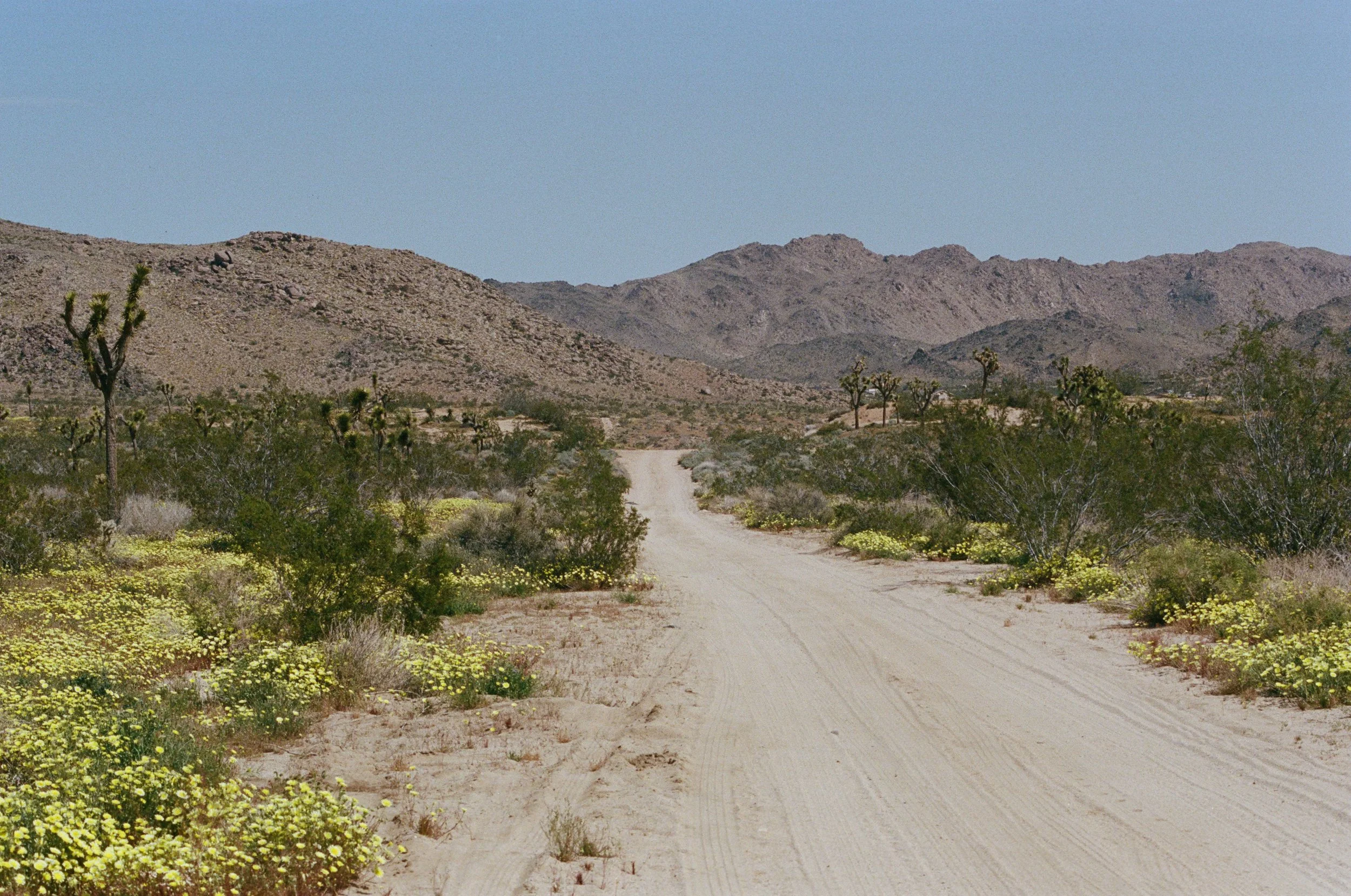 622112_0034.jpg