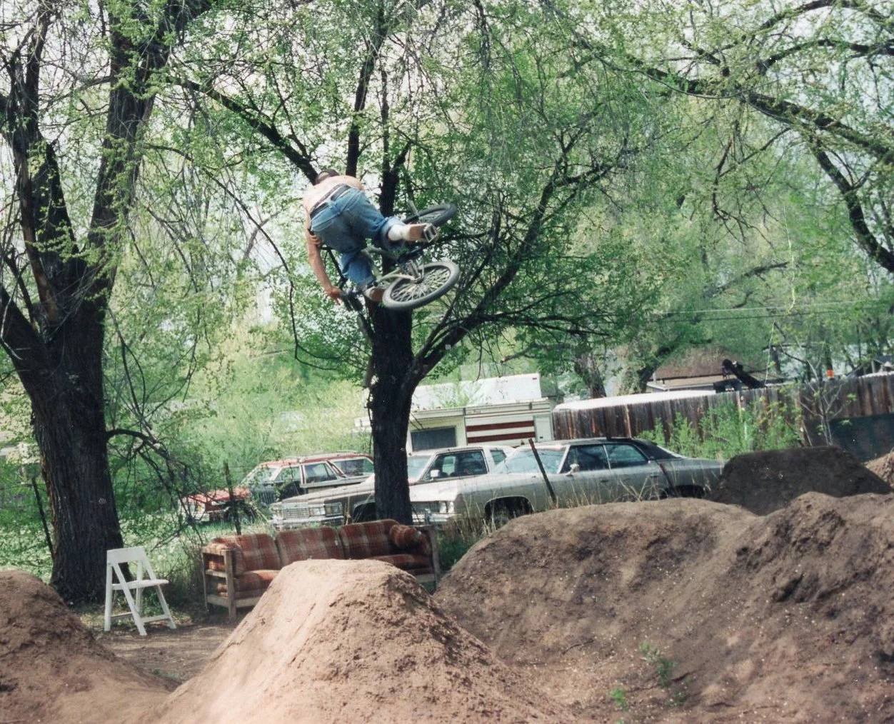 img010.jpg